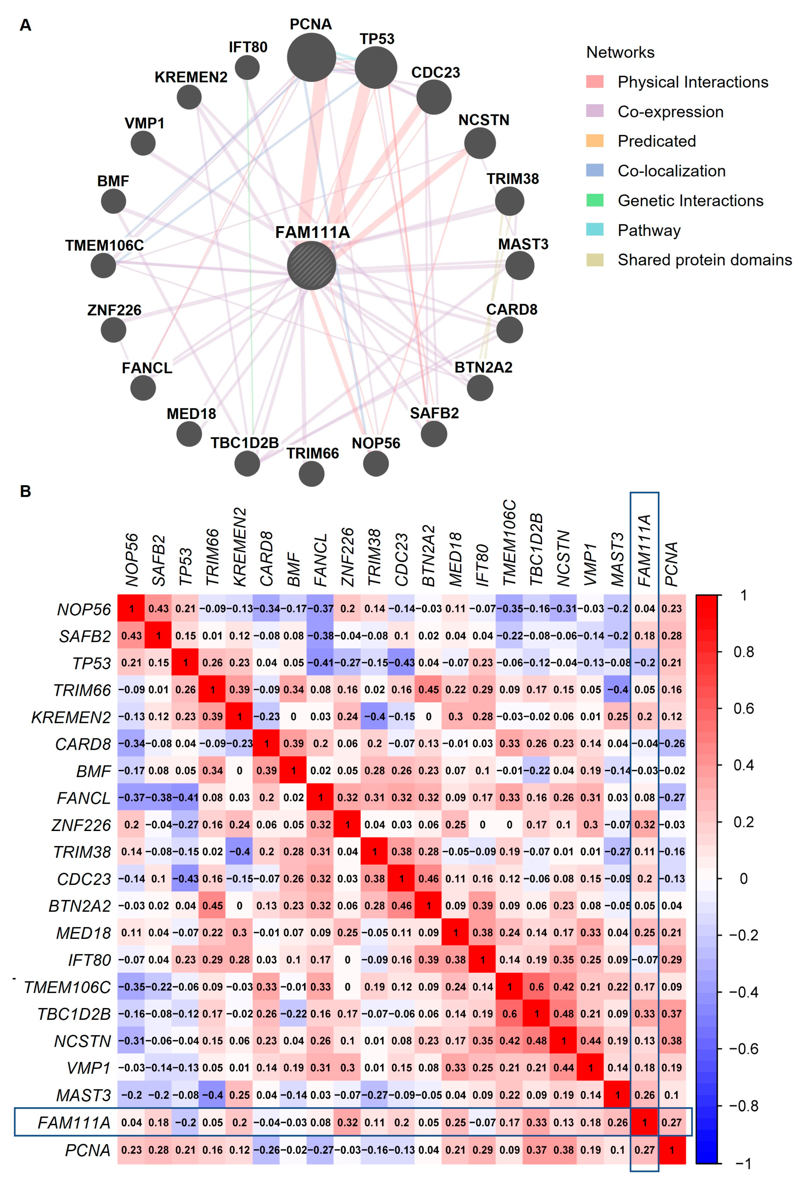 Biomedicines 10 00257 g006