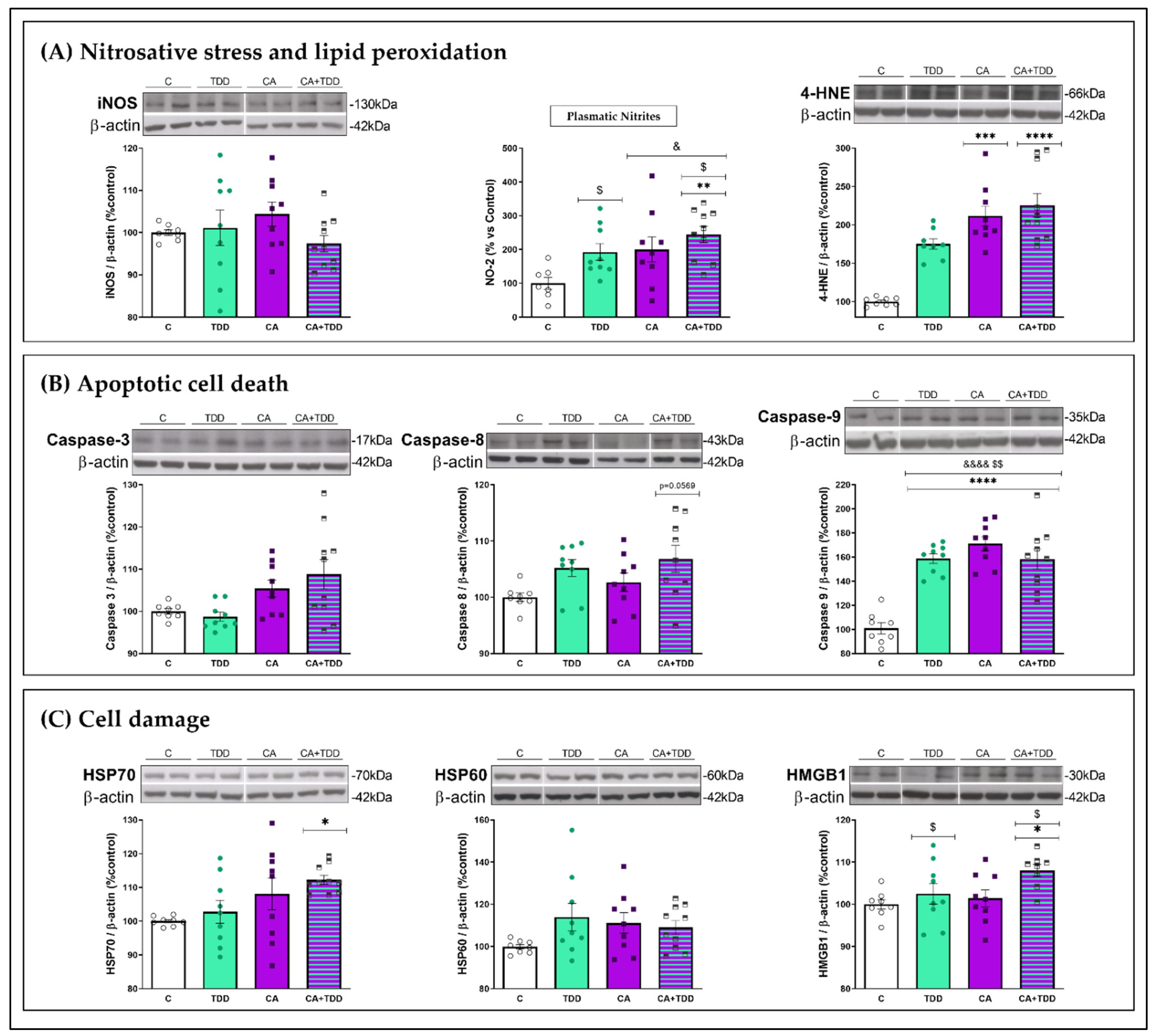 Biomedicines 10 00260 g004