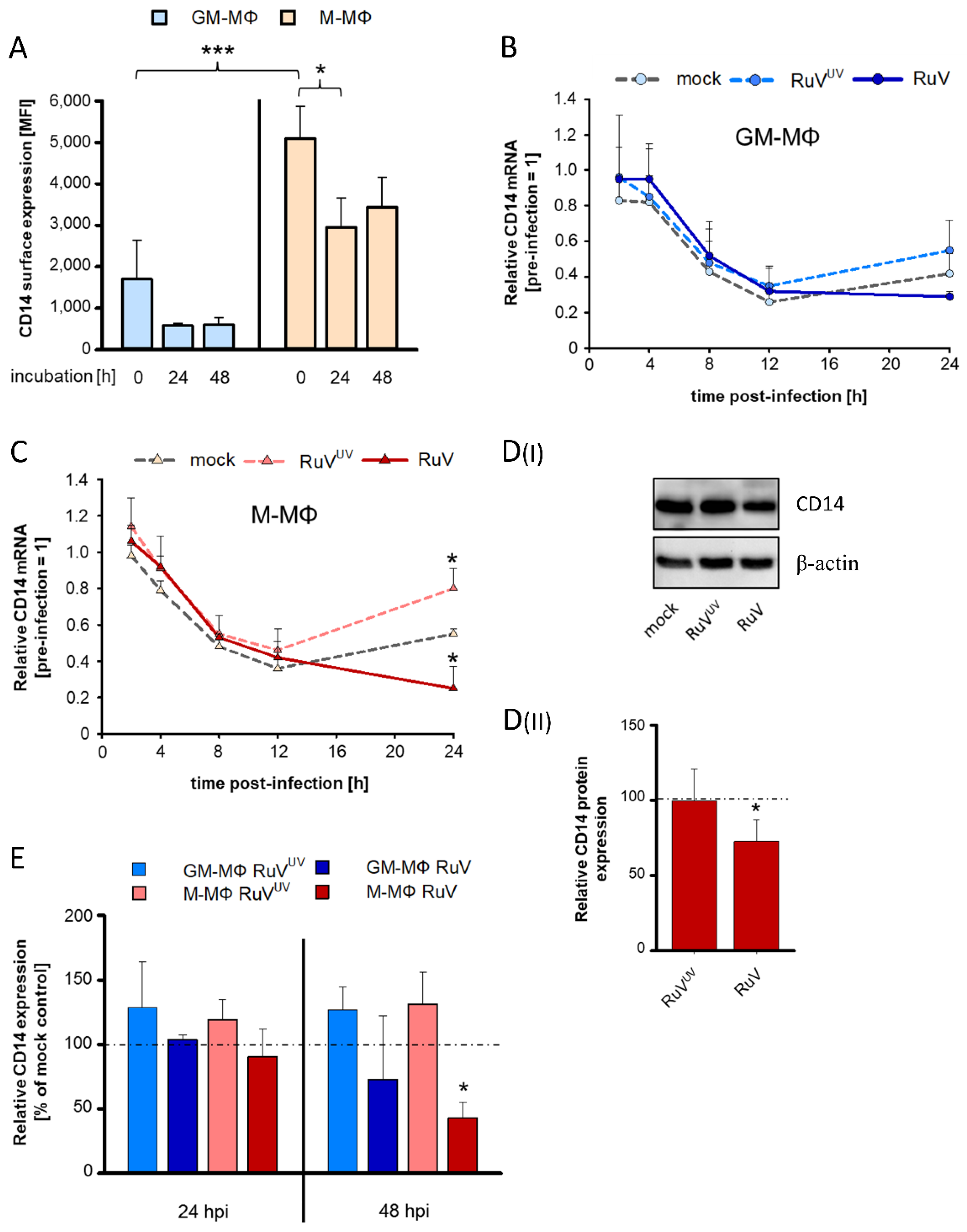 Biomedicines 10 00266 g002 550