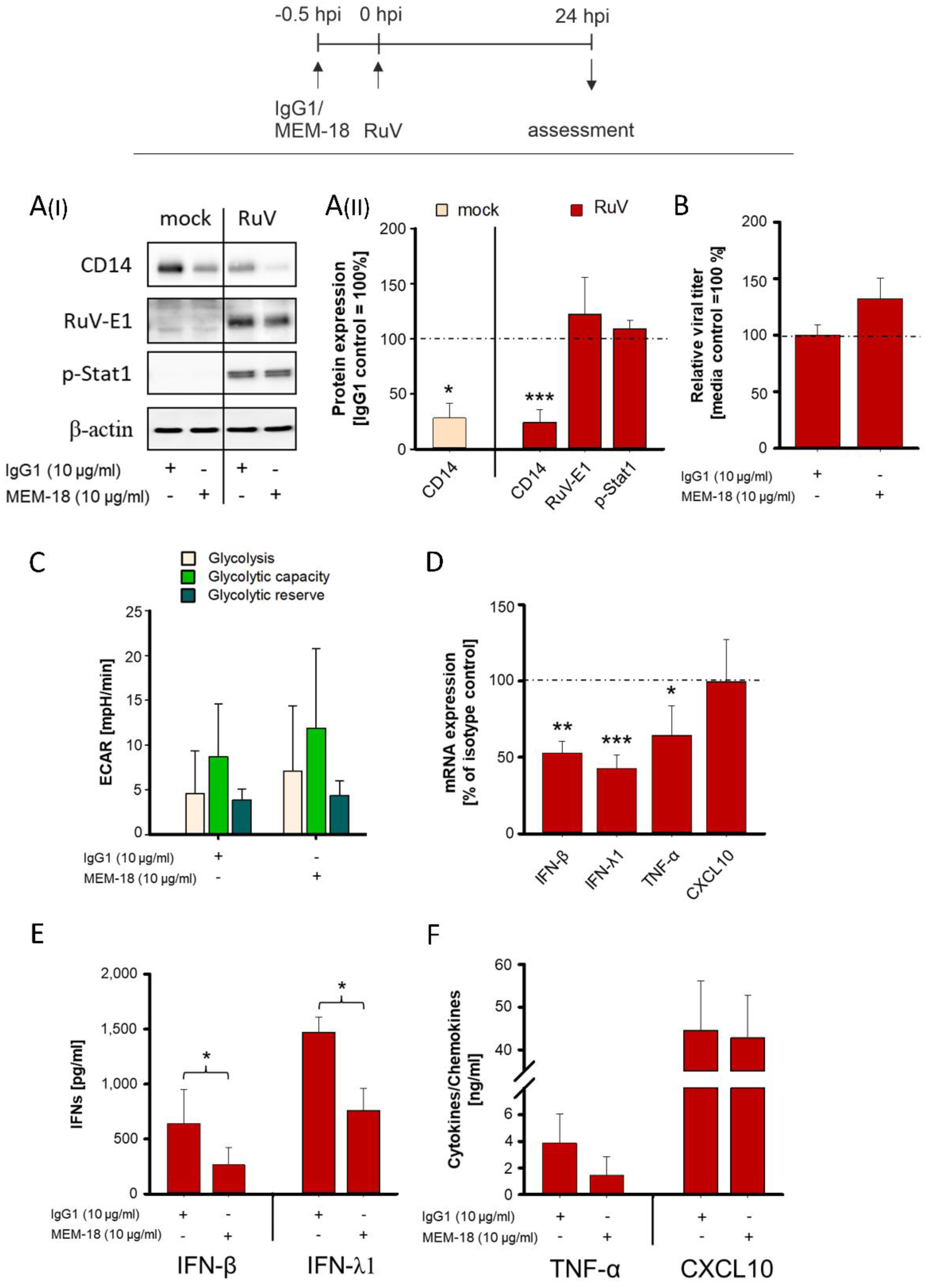 Biomedicines 10 00266 g004 550