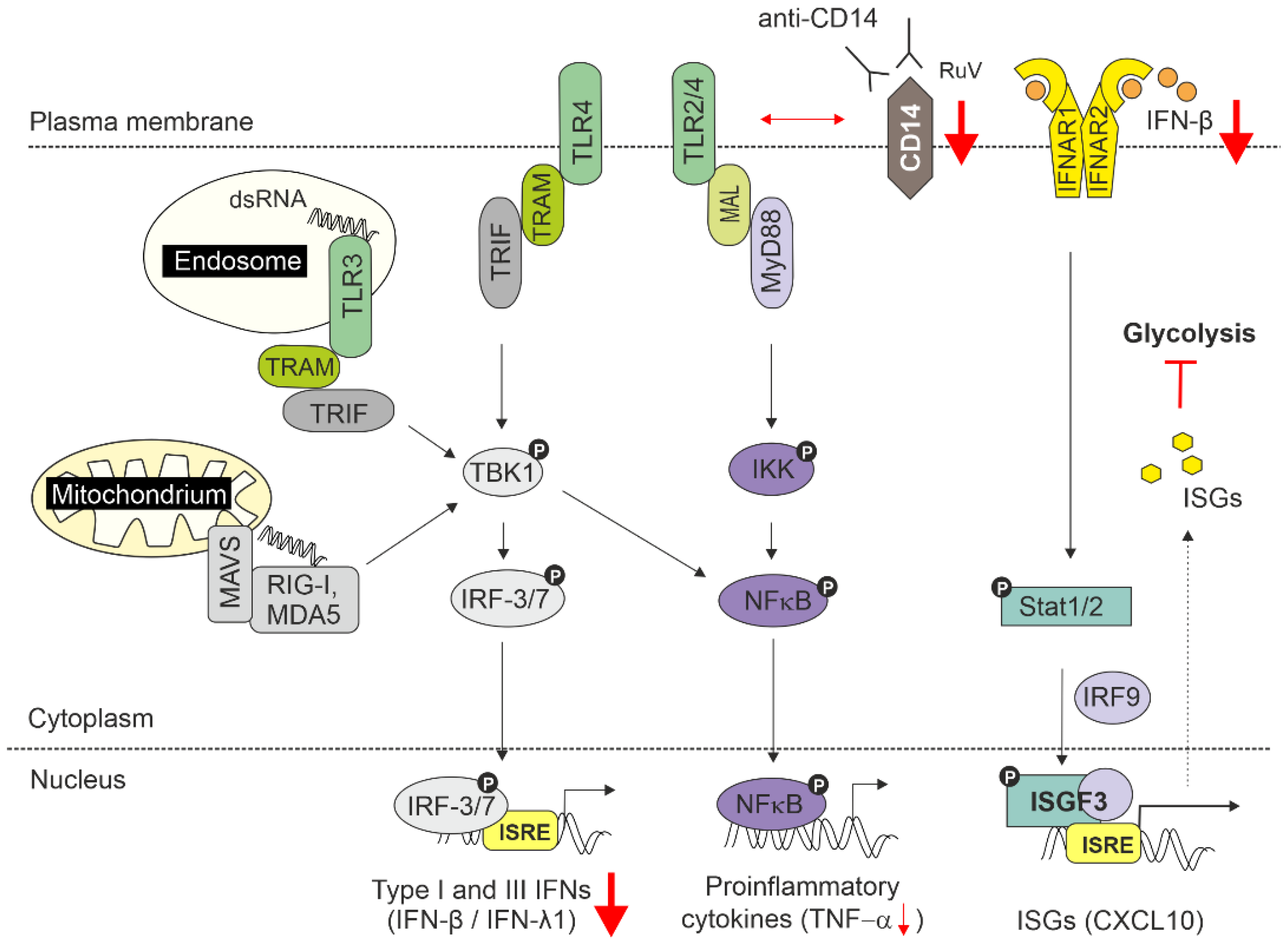 Biomedicines 10 00266 g005 550