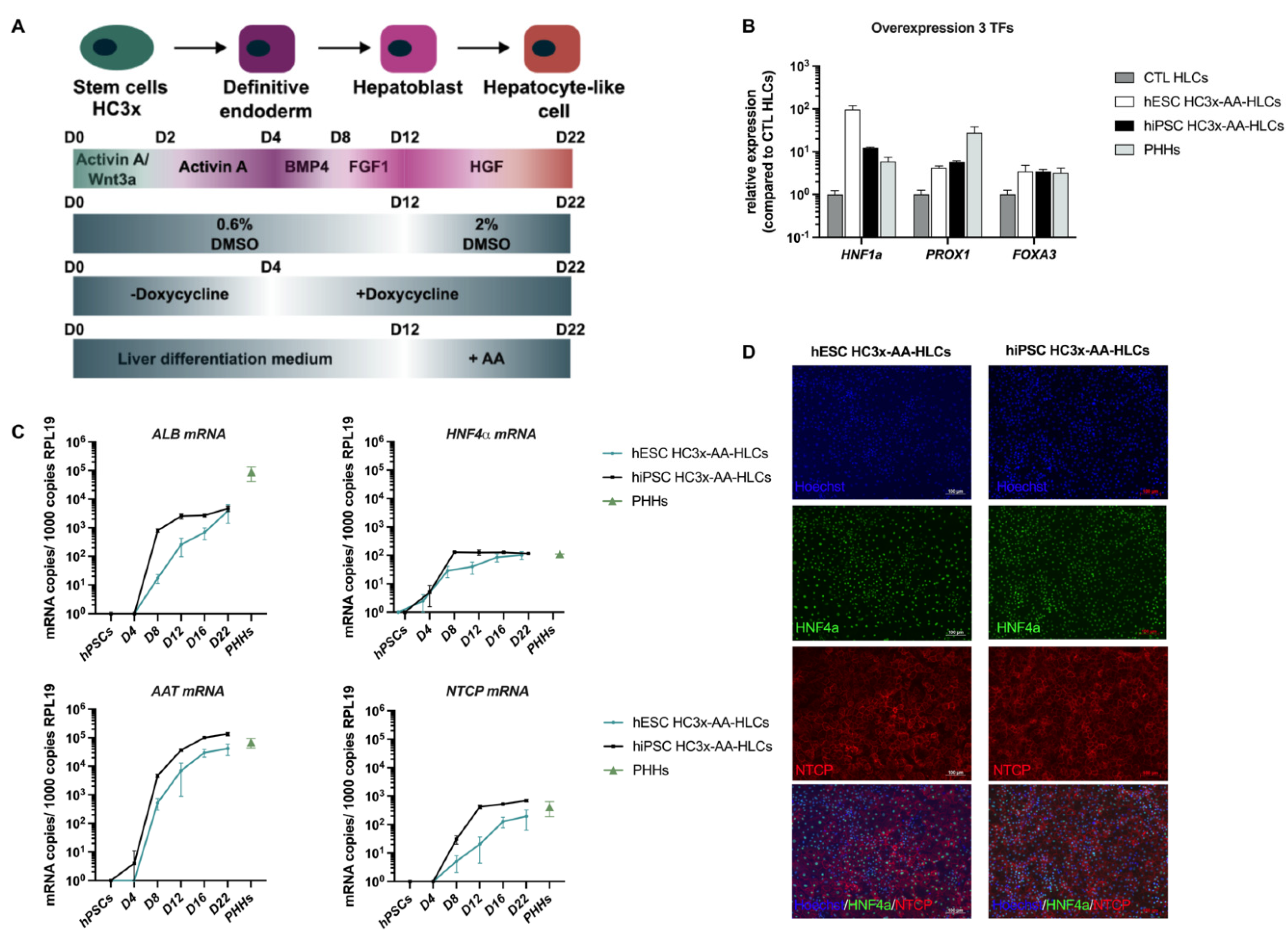Biomedicines 10 00268 g001