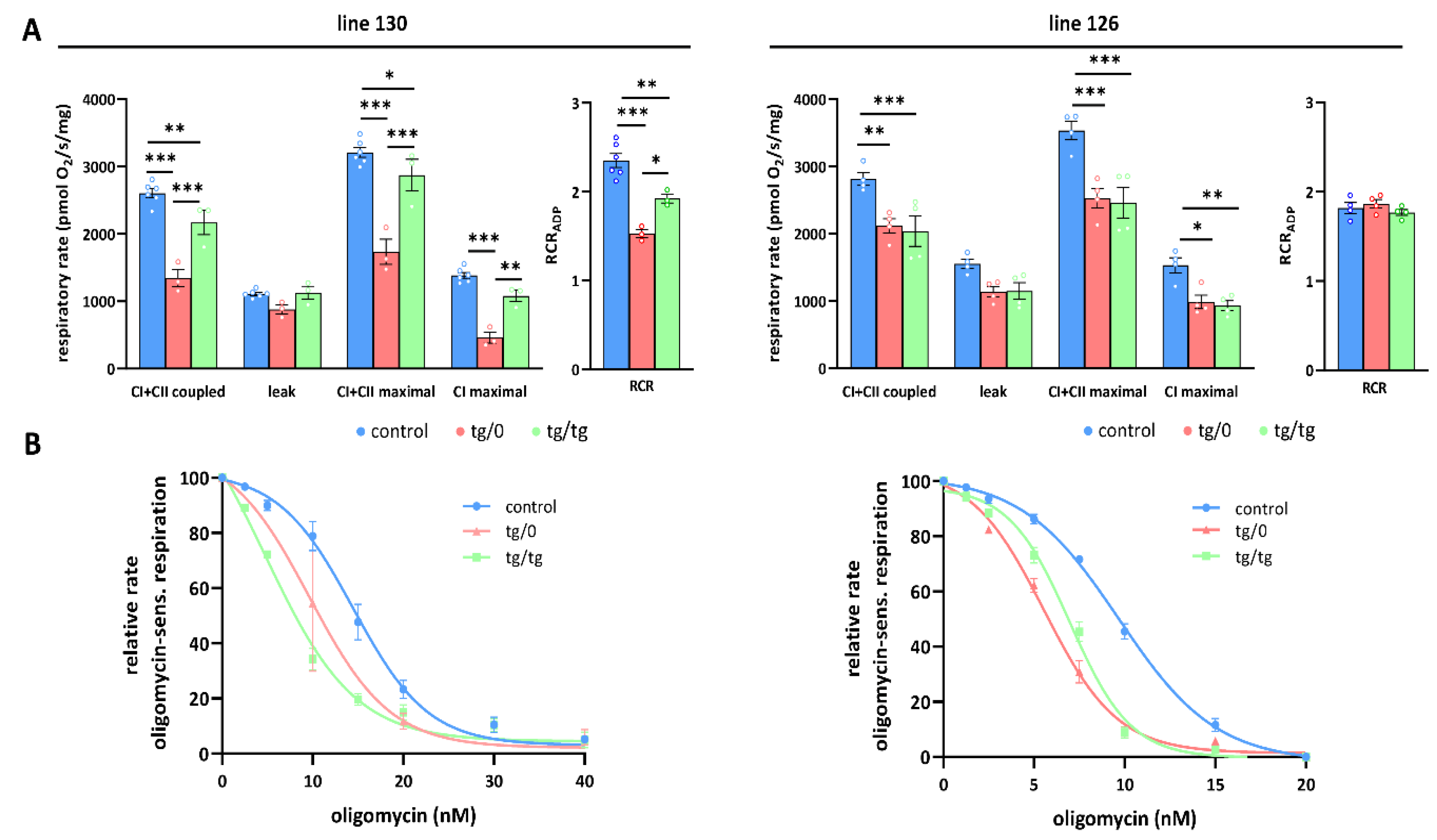 Biomedicines 10 00276 g007 Biomedicines 10 00276 g007