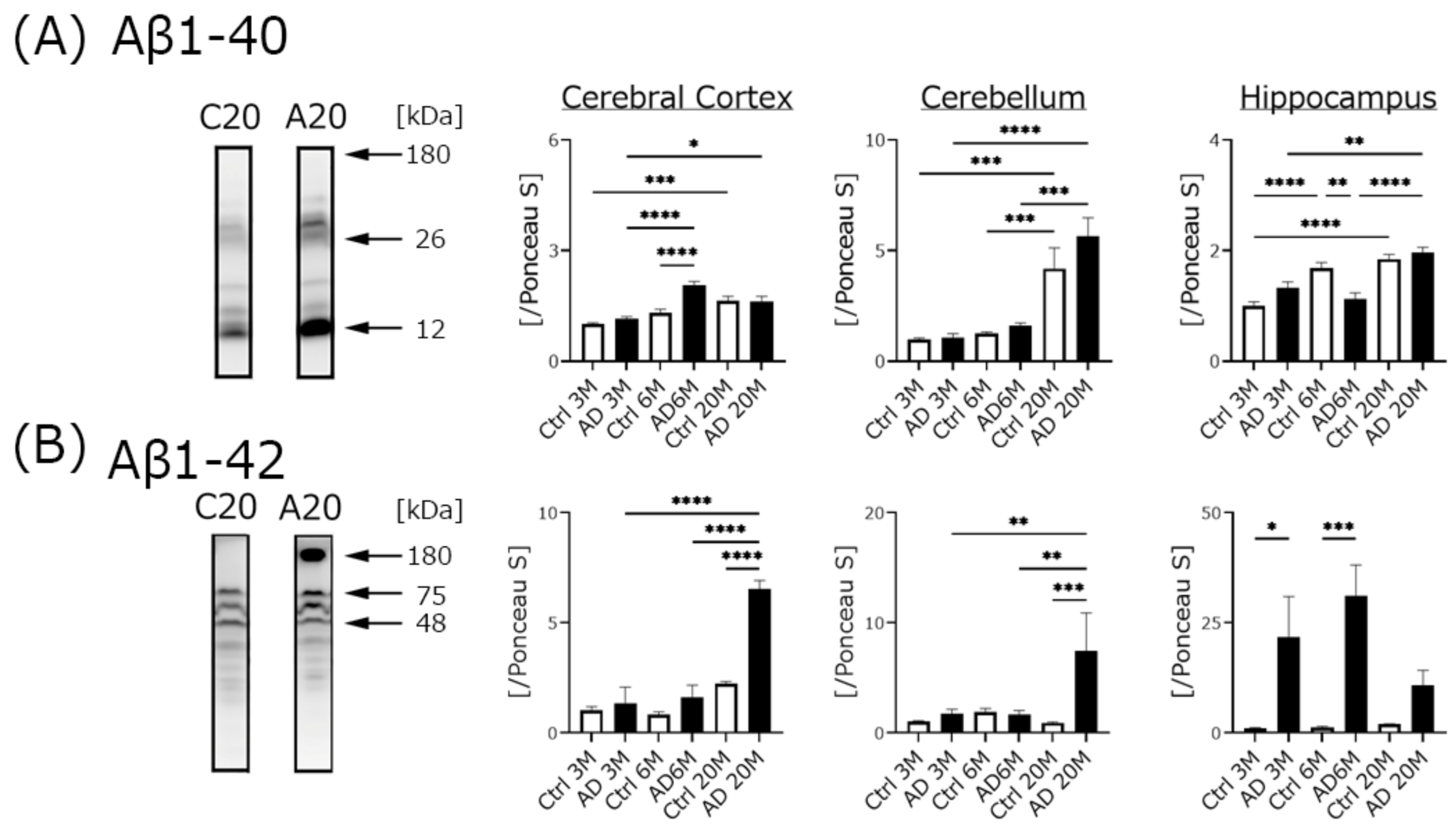 Biomedicines 10 00281 g003