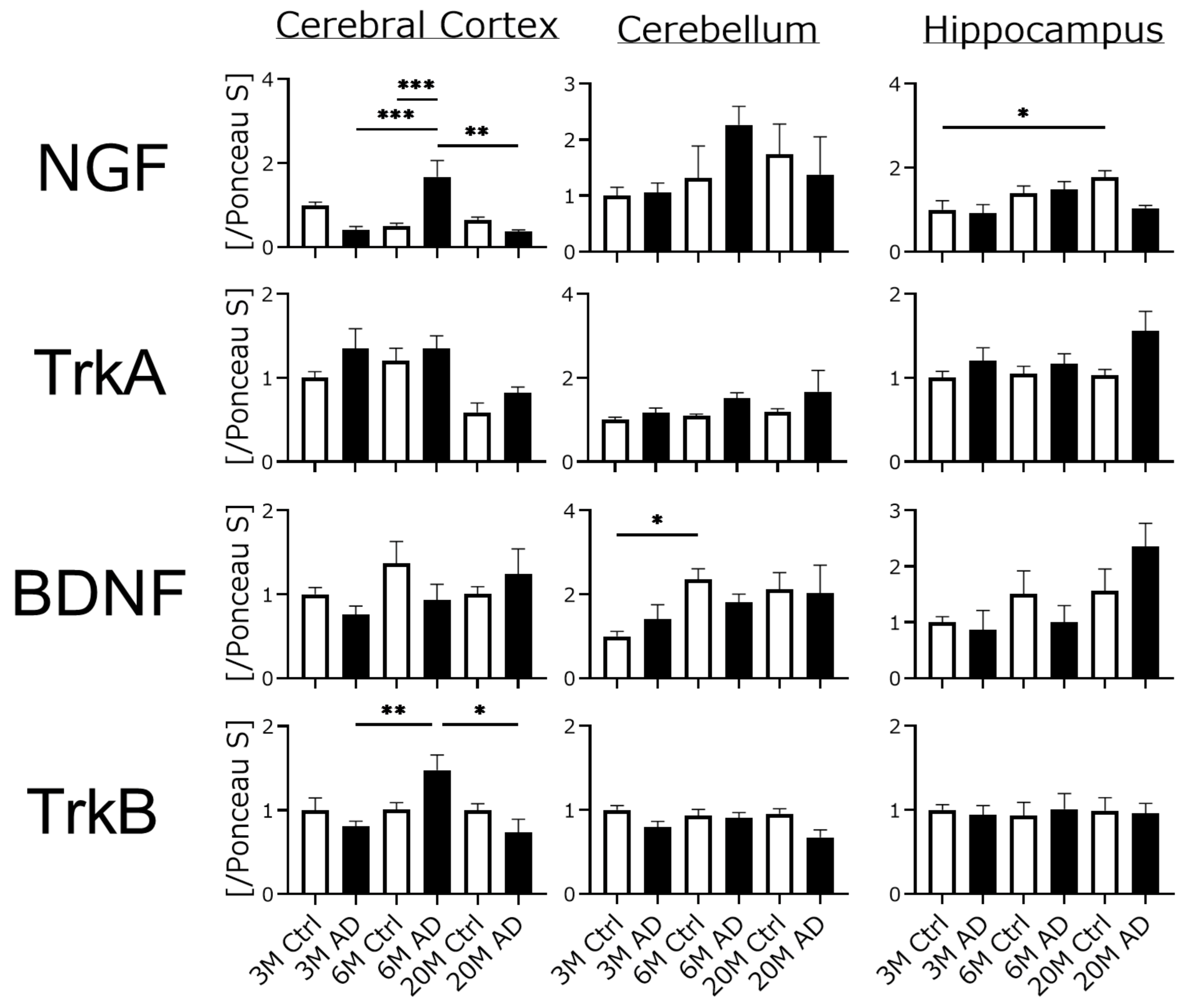 Biomedicines 10 00281 g005