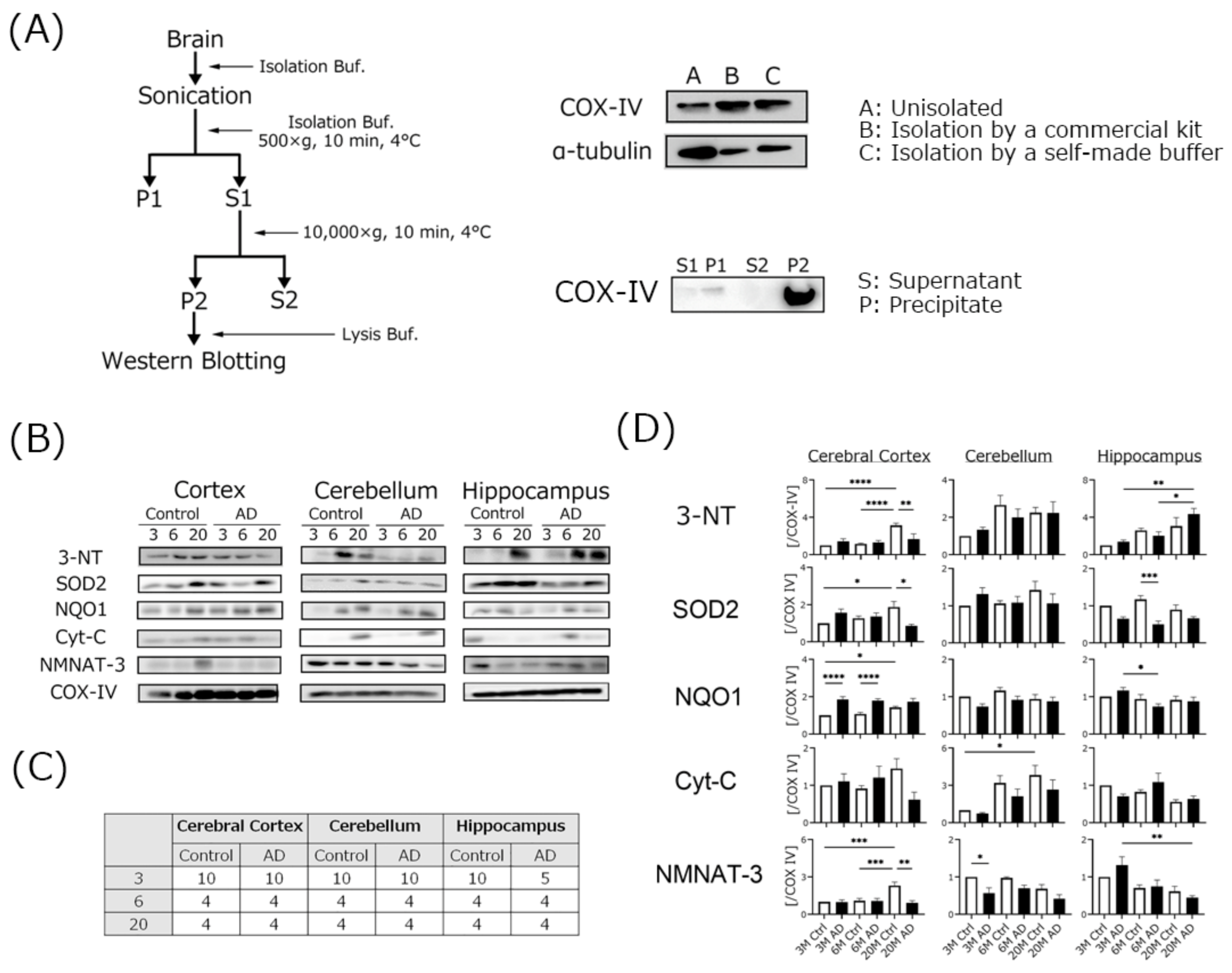 Biomedicines 10 00281 g006