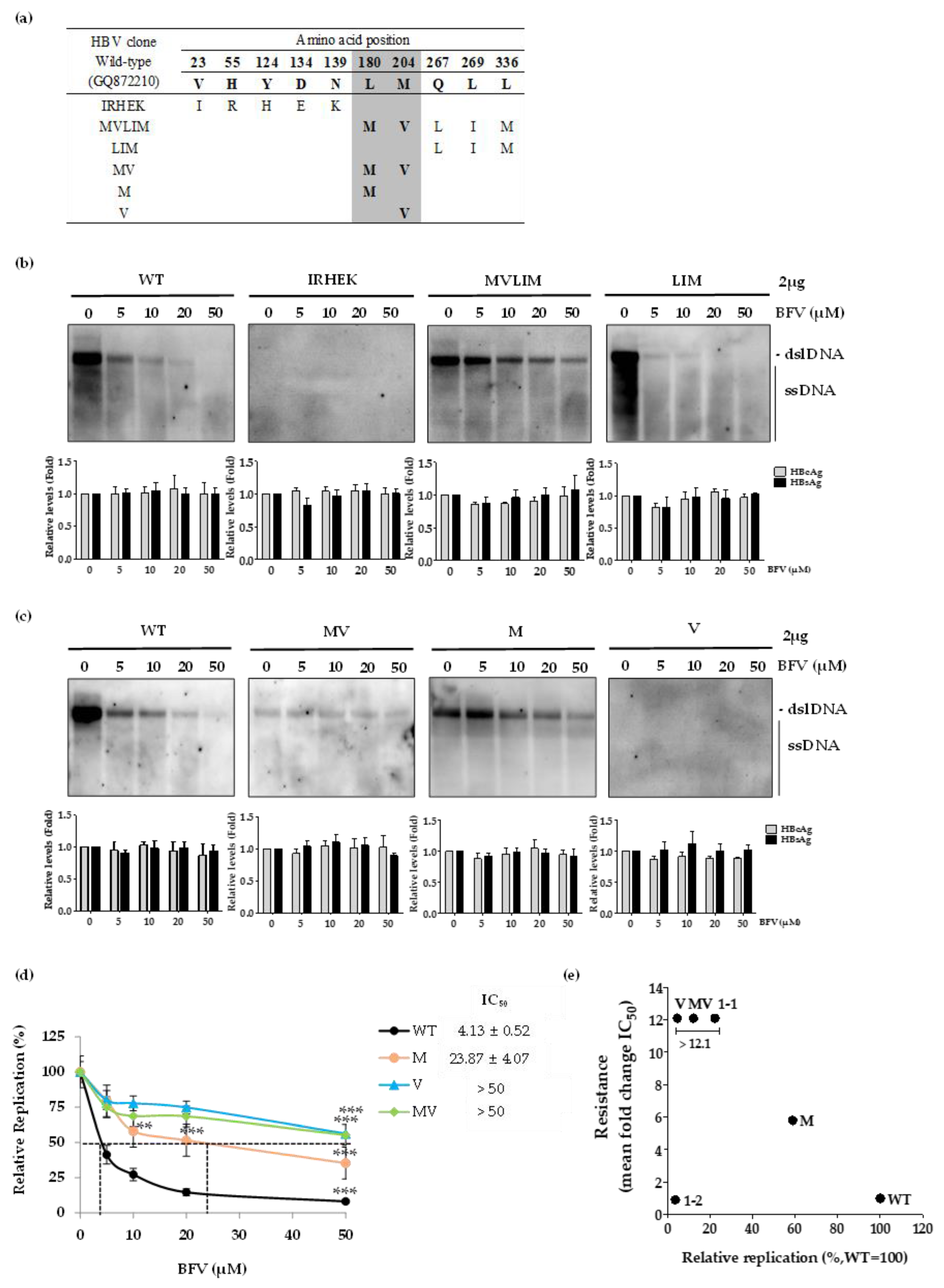Biomedicines 10 00282 g003