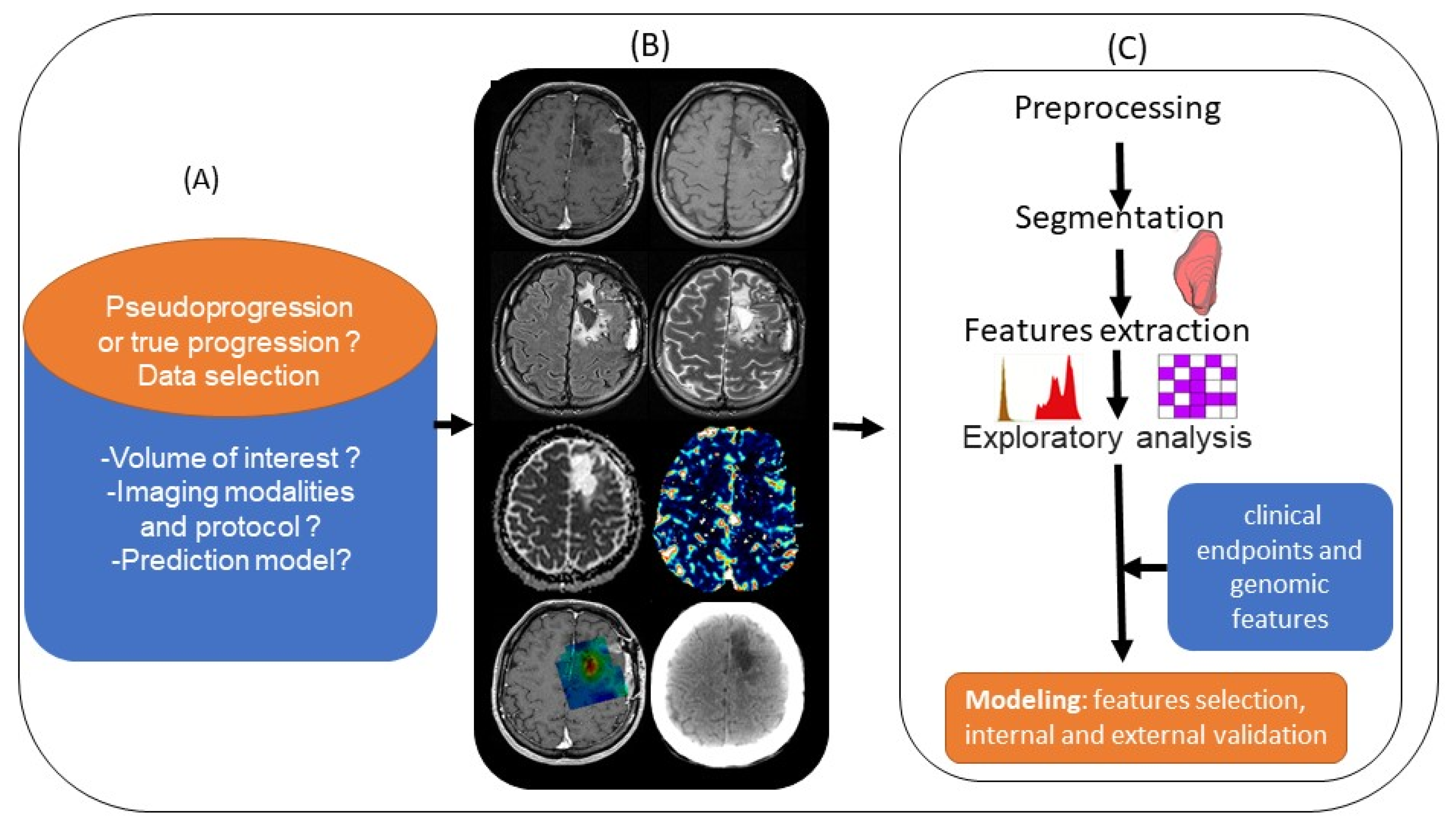 Biomedicines 10 00285 g004 550
