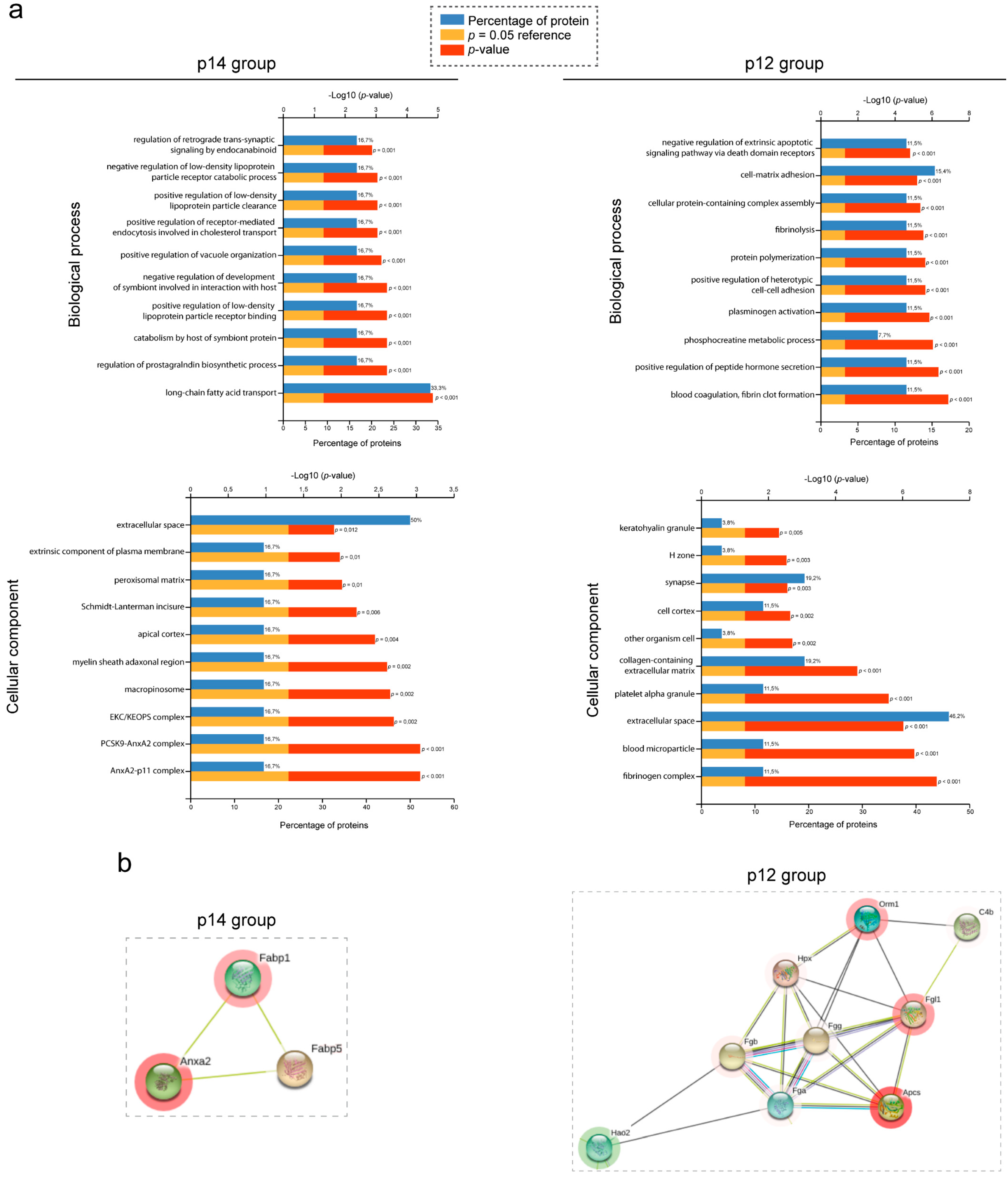 Biomedicines 10 00290 g004 Biomedicines 10 00290 g004