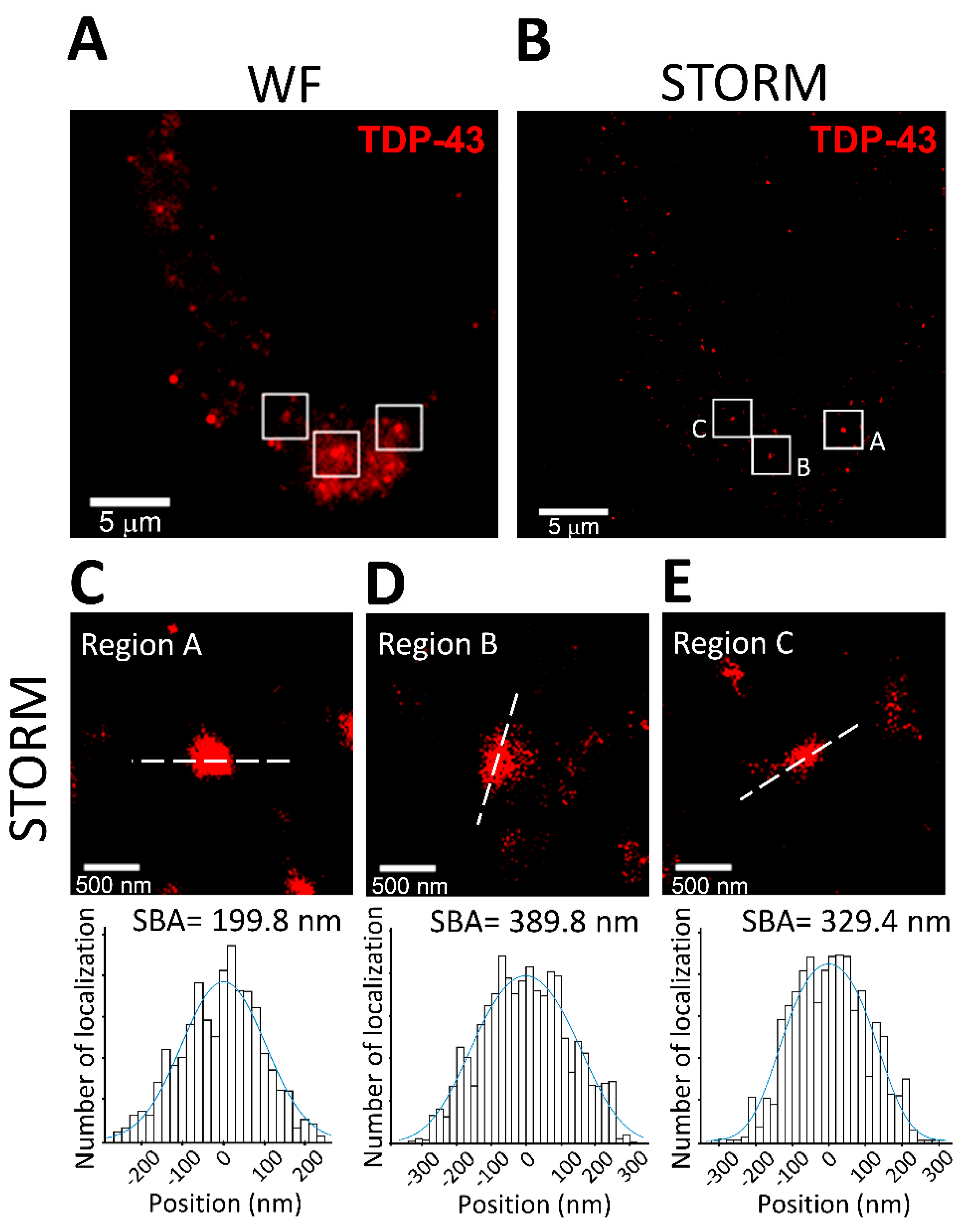 Biomedicines 10 00295 g003 Biomedicines 10 00295 g003