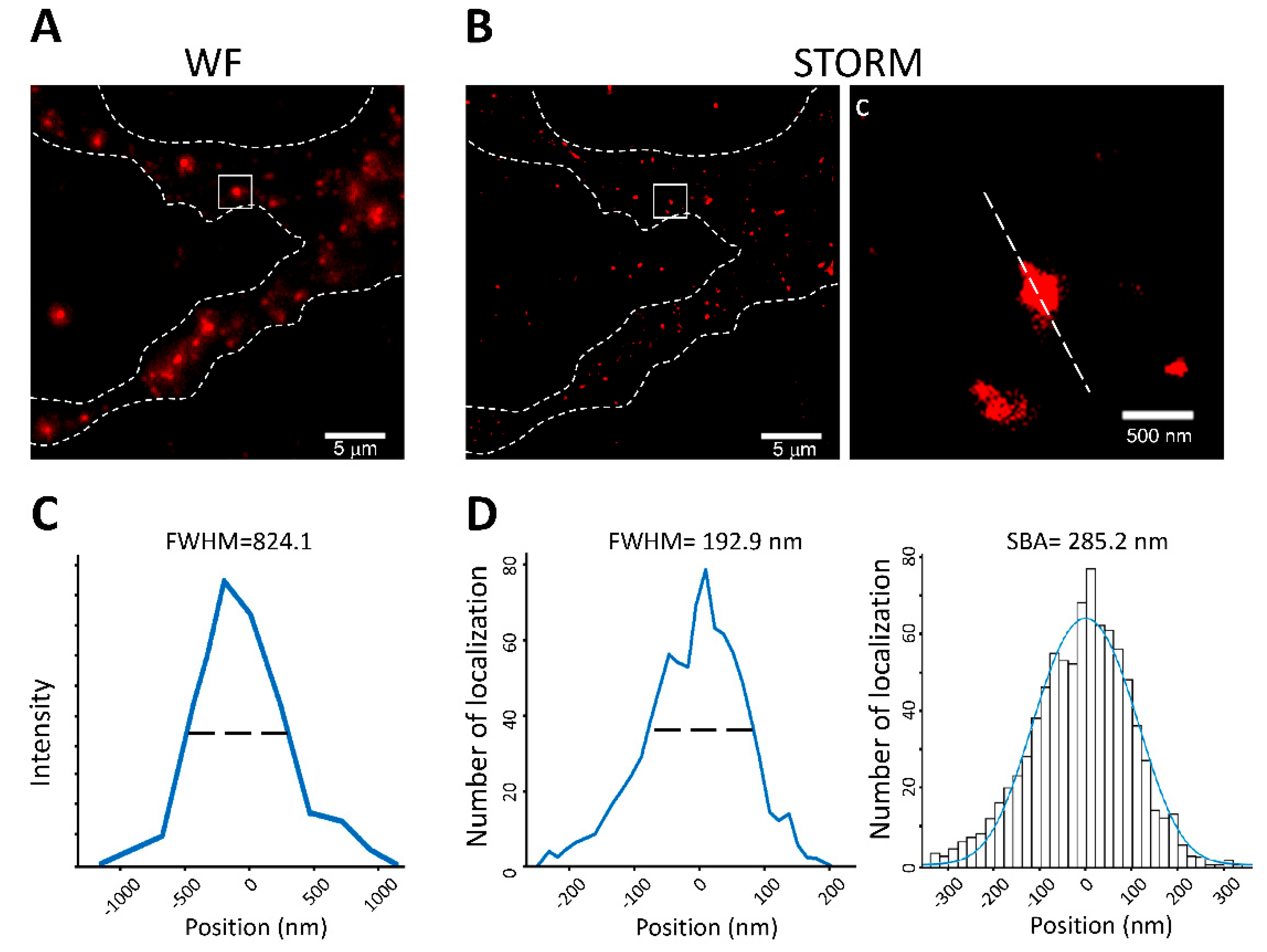 Biomedicines 10 00295 g004 Biomedicines 10 00295 g004