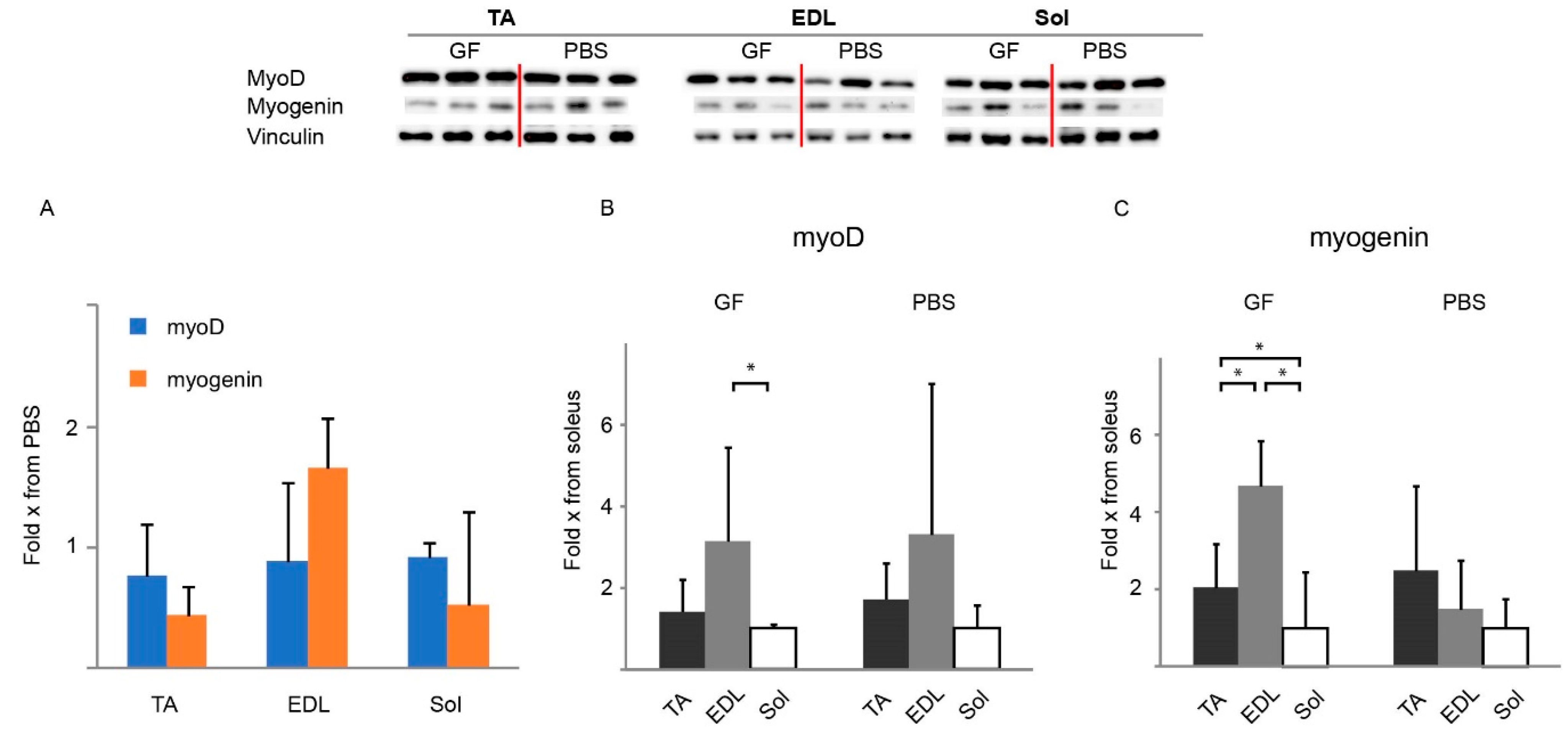 Biomedicines 10 00304 g006
