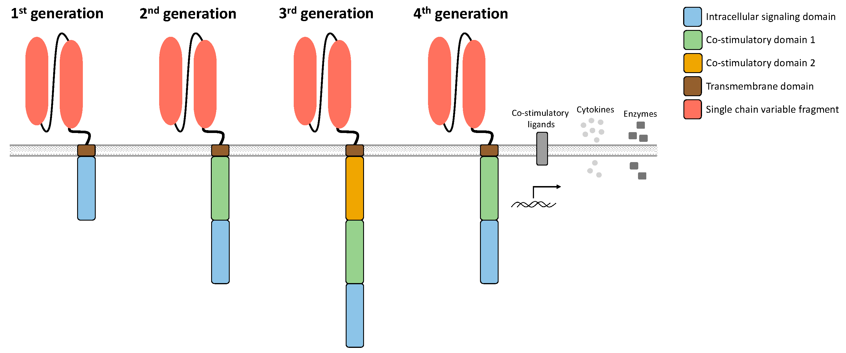 Biomedicines 10 00307 g002 550