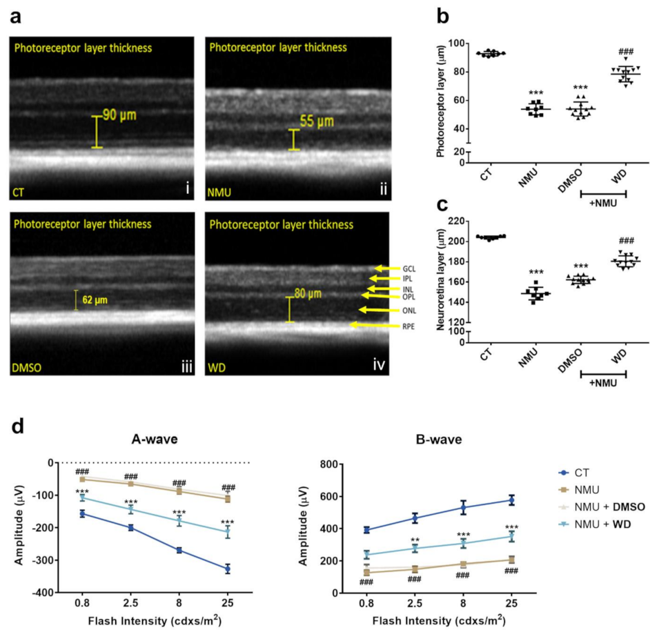 Biomedicines 10 00311 g001 Biomedicines 10 00311 g001