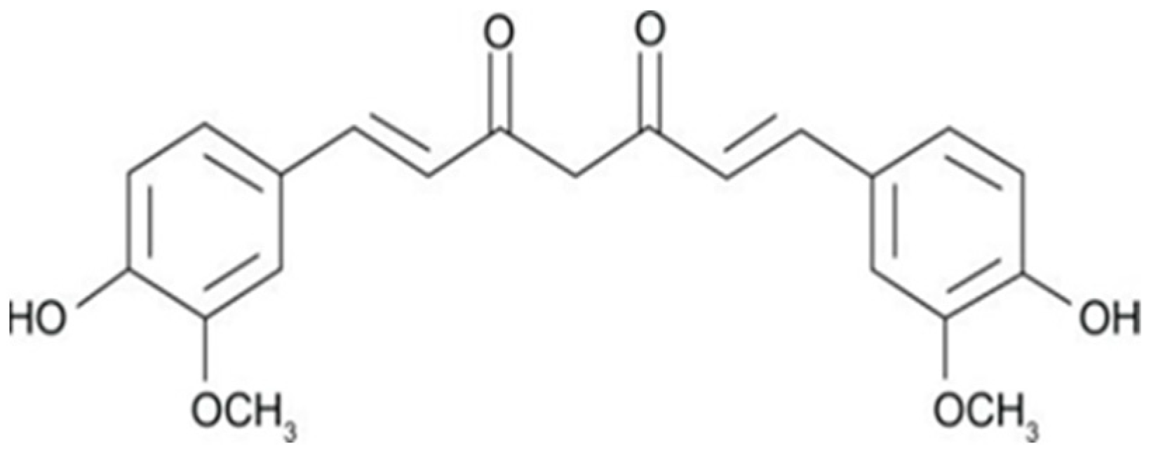 Biomedicines 10 00312 g001