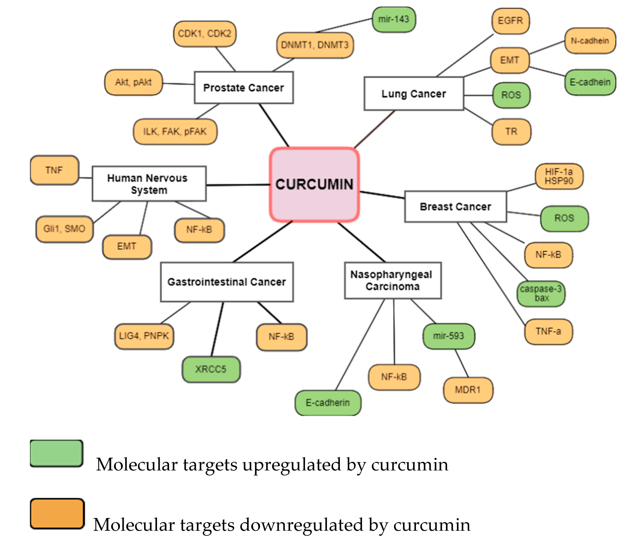 Biomedicines 10 00312 g002