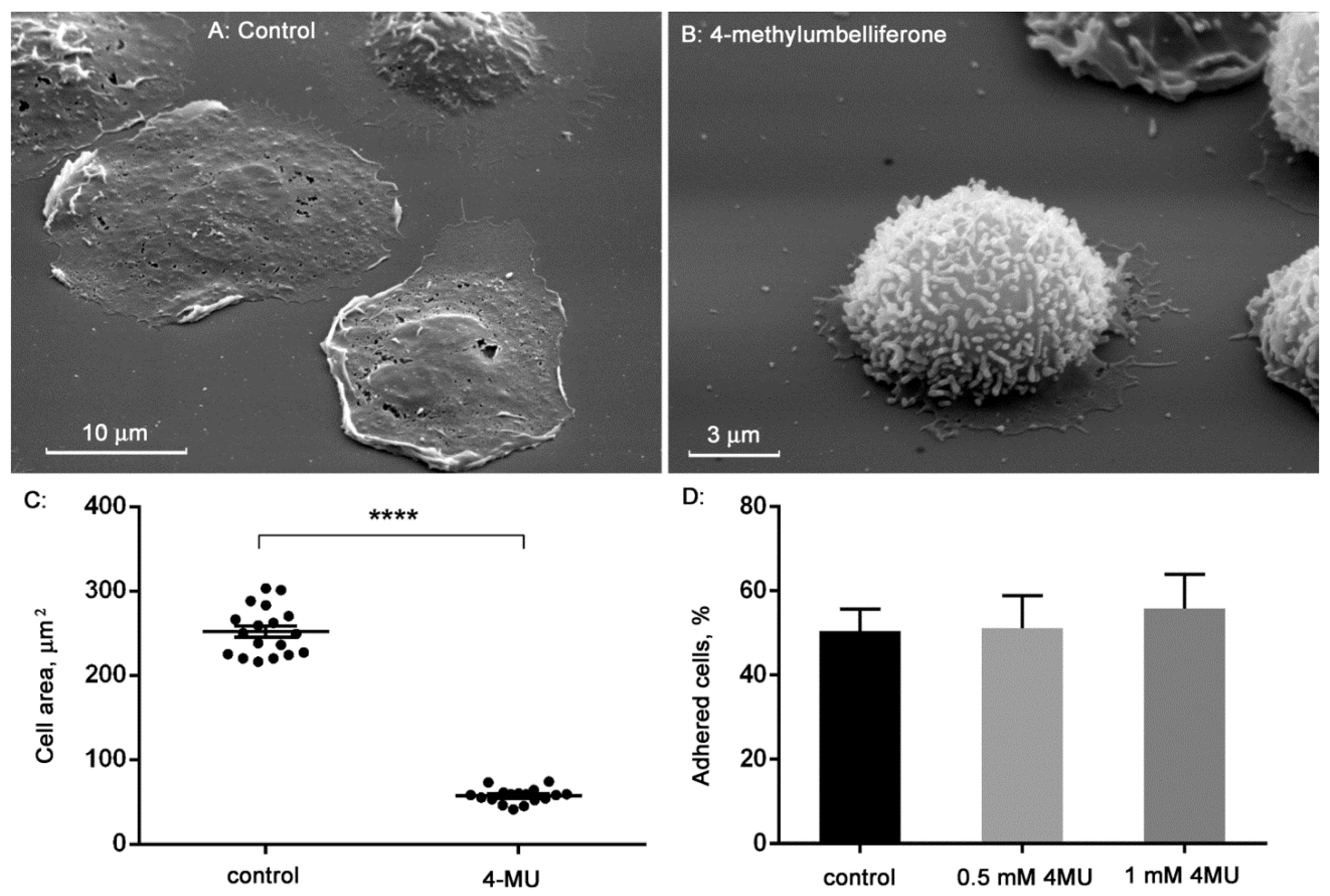 Biomedicines 10 00314 g001 Biomedicines 10 00314 g001