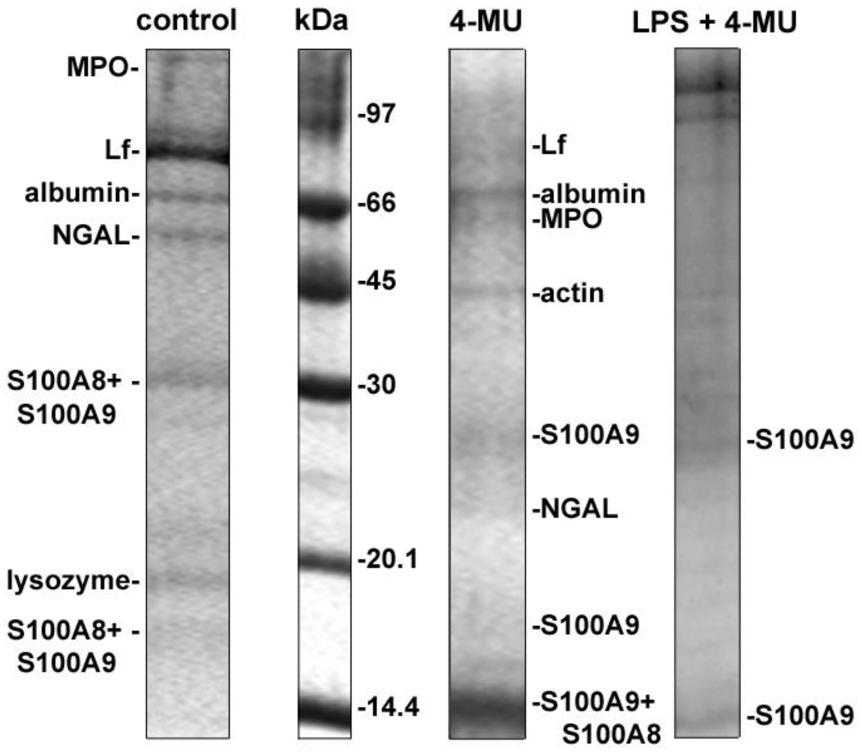 Biomedicines 10 00314 g002 Biomedicines 10 00314 g002