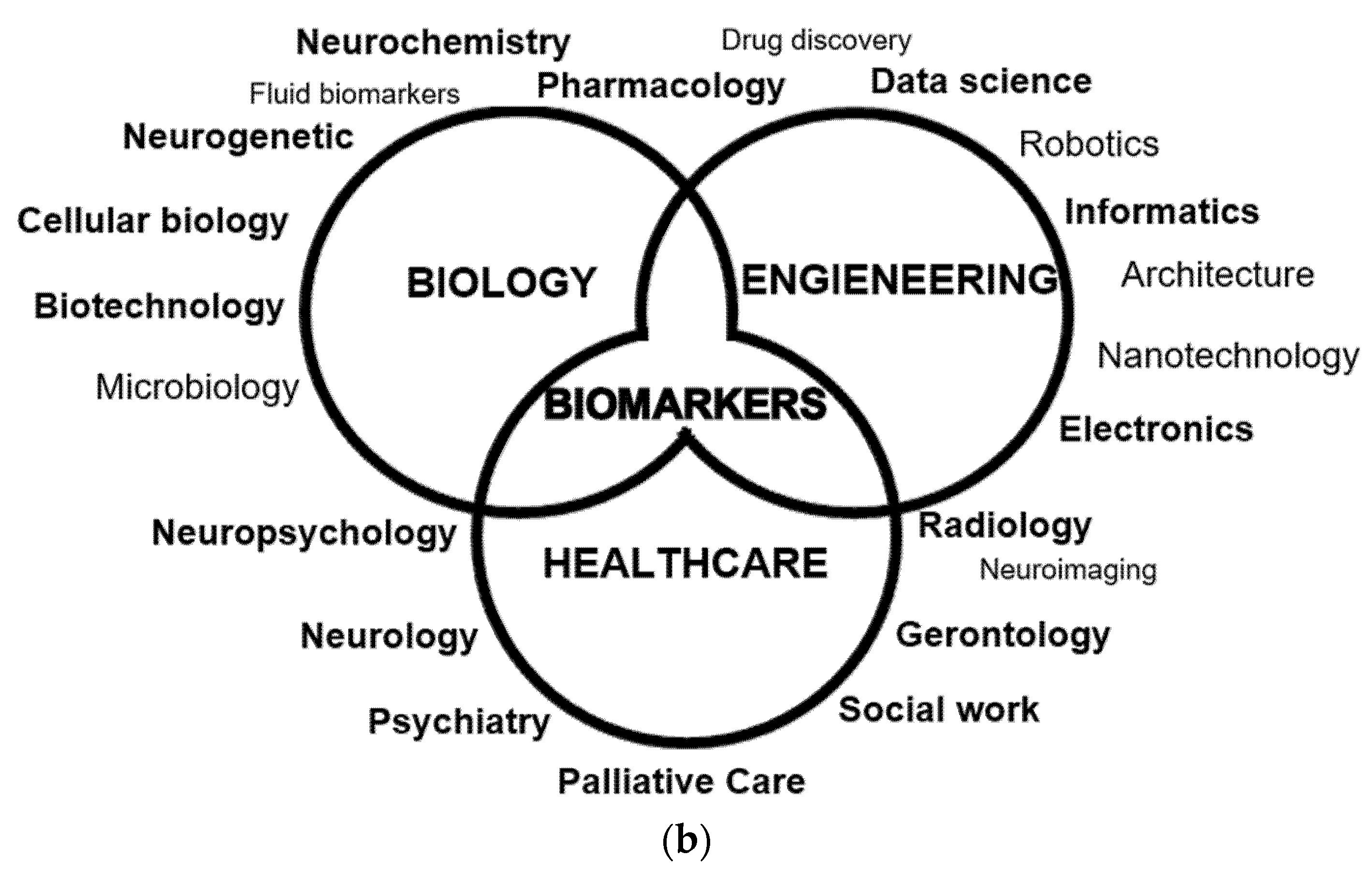 Biomedicines 10 00315 g003b