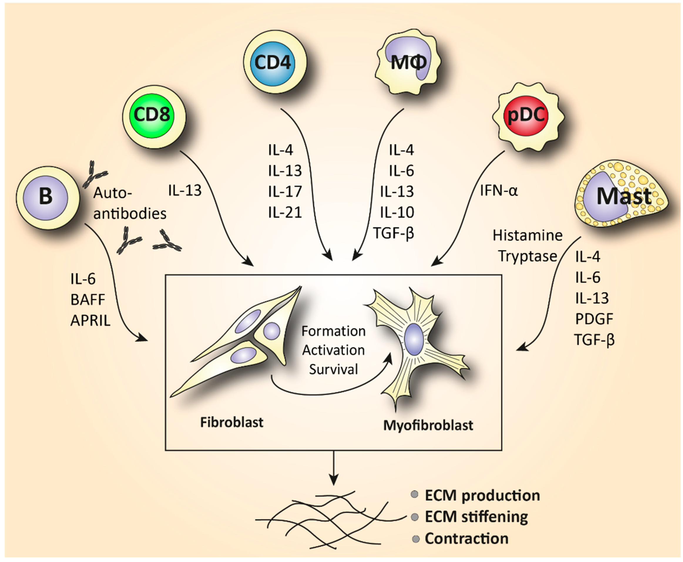 Biomedicines 10 00316 g002 Biomedicines 10 00316 g002