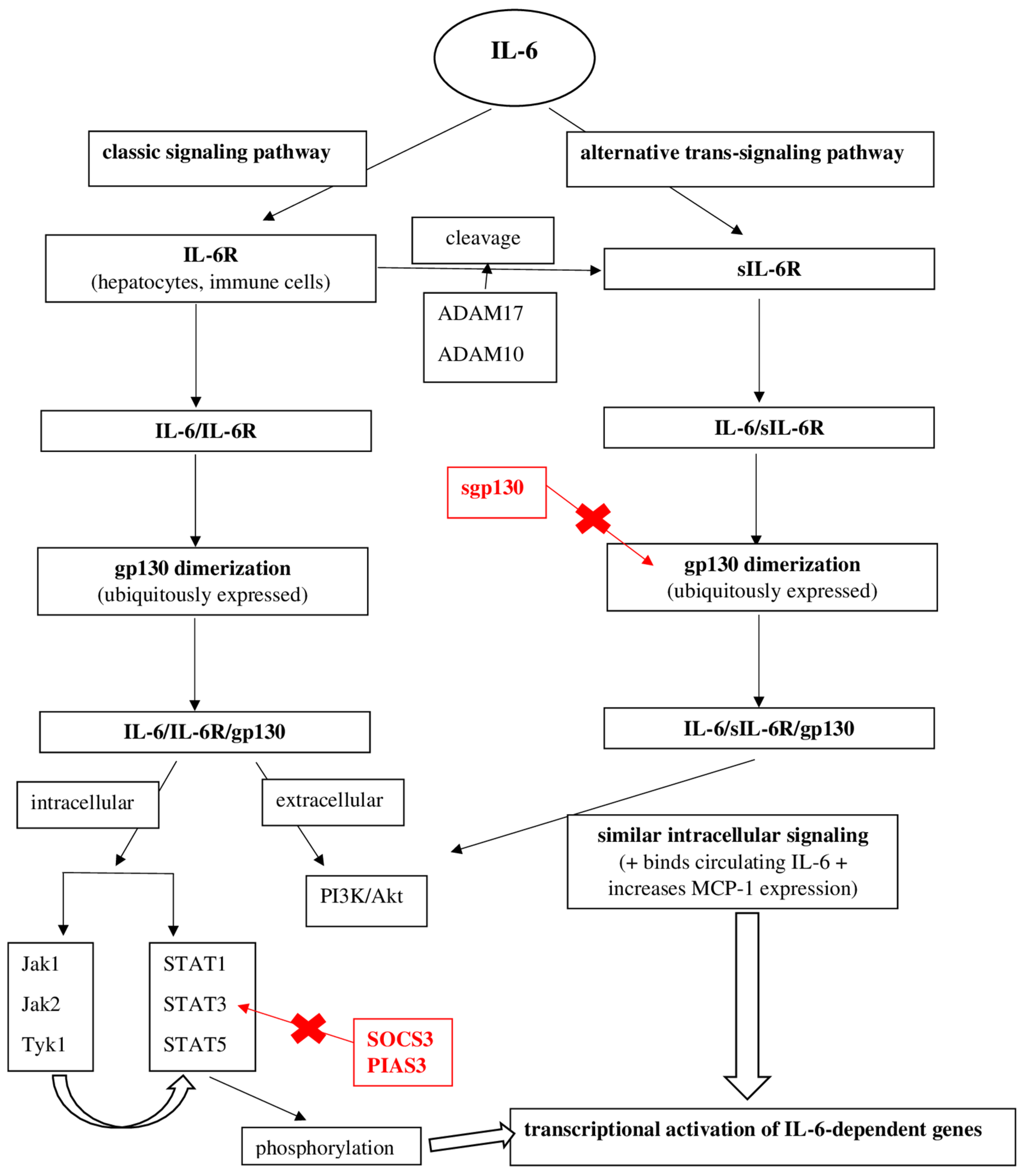 Biomedicines 10 00318 g002