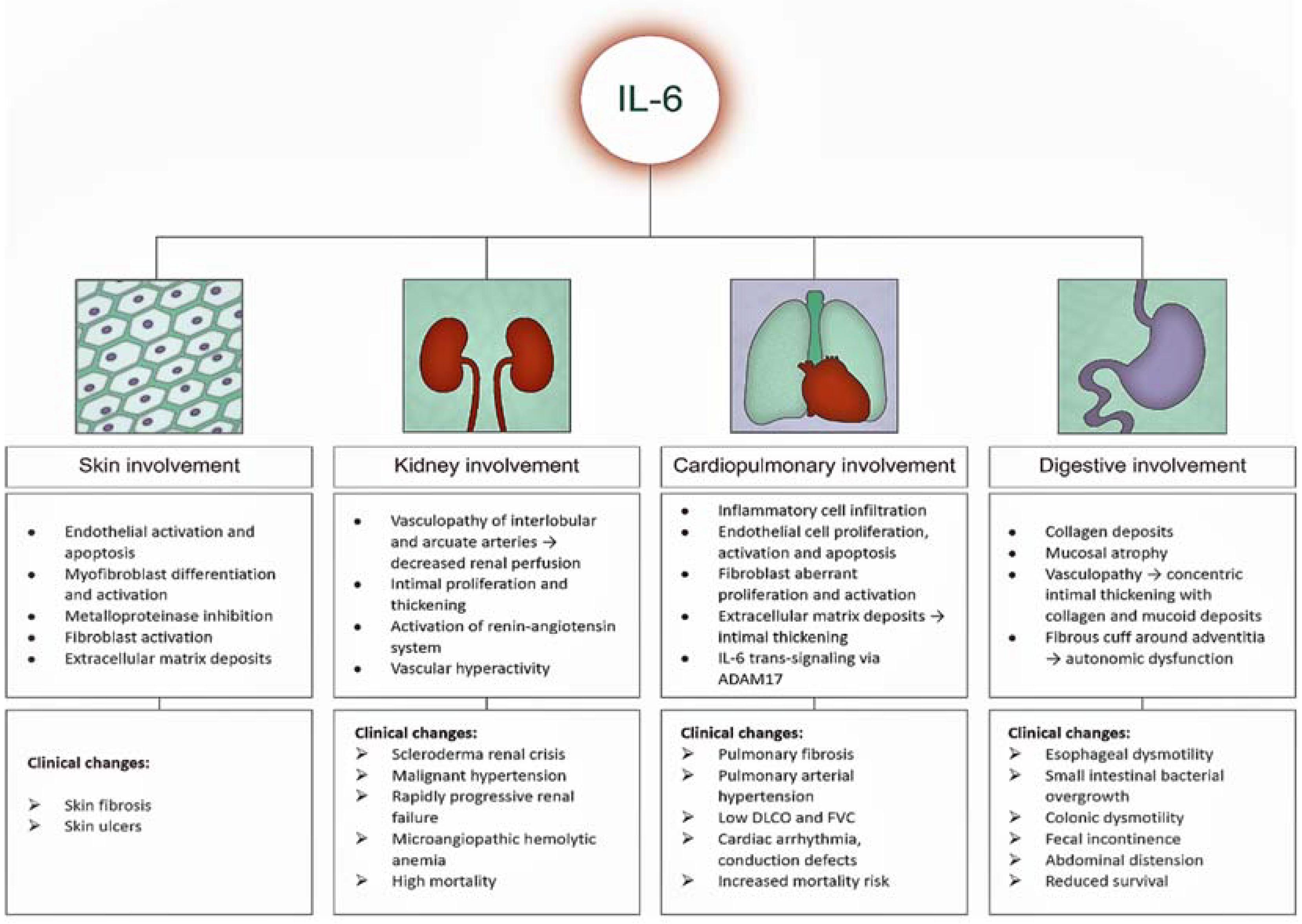 Biomedicines 10 00318 g004