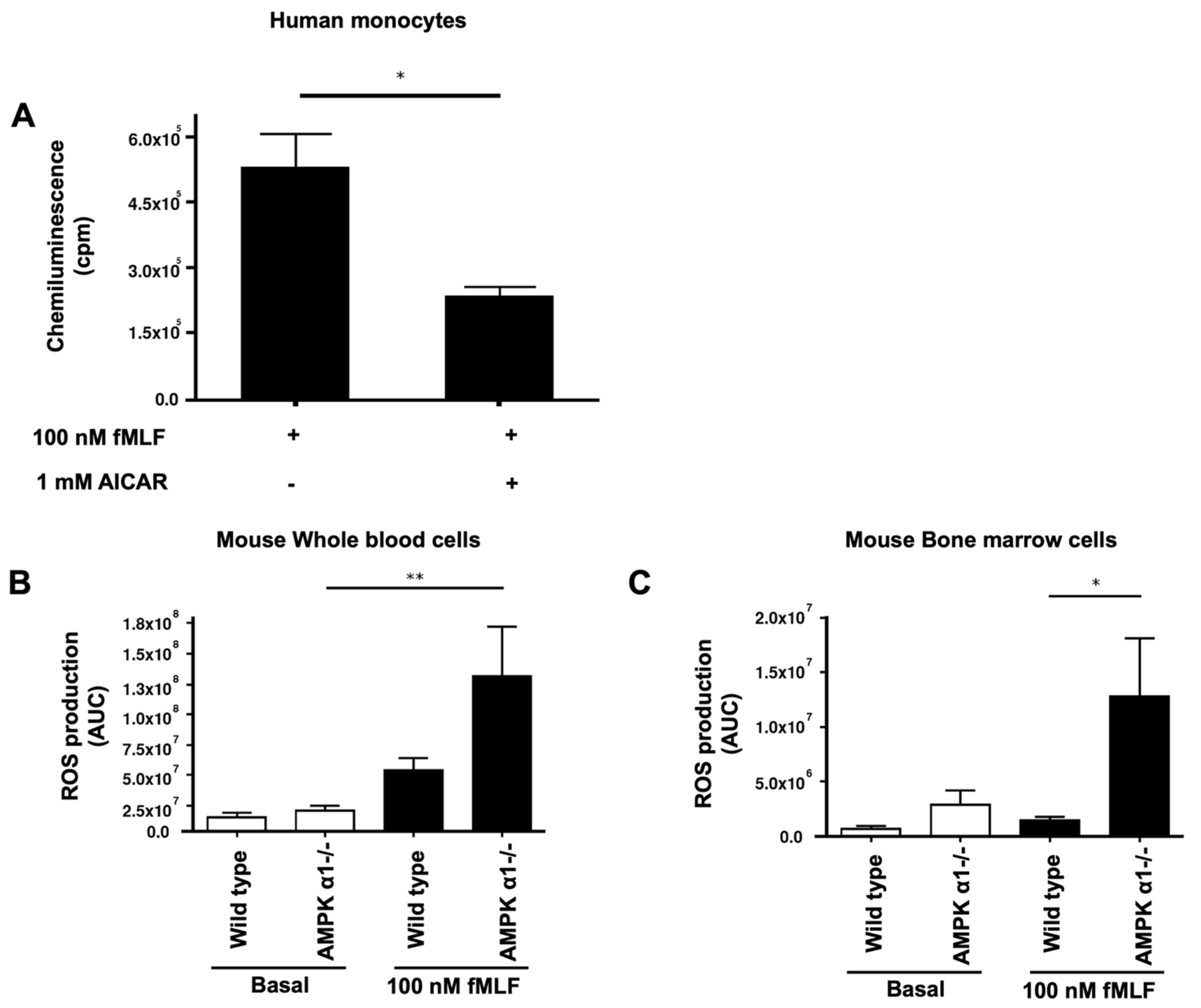 Biomedicines 10 00319 g007 550