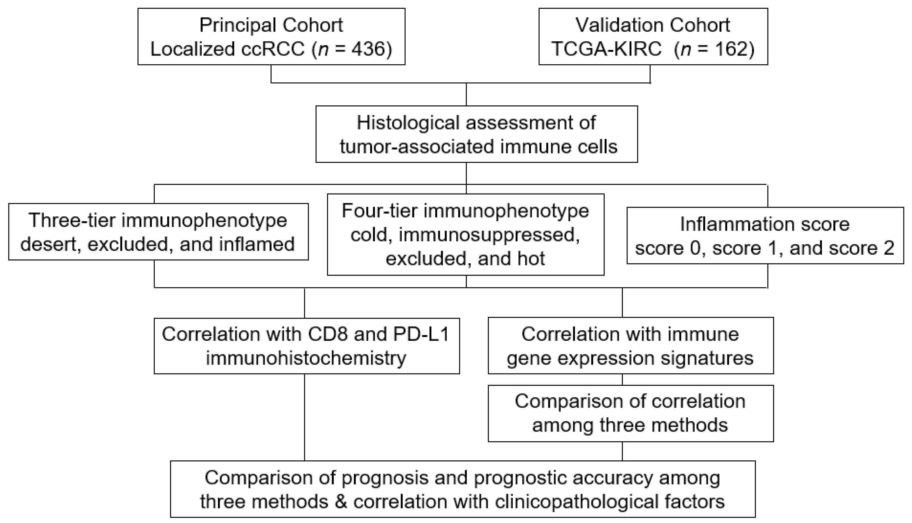Biomedicines 10 00323 g001 550