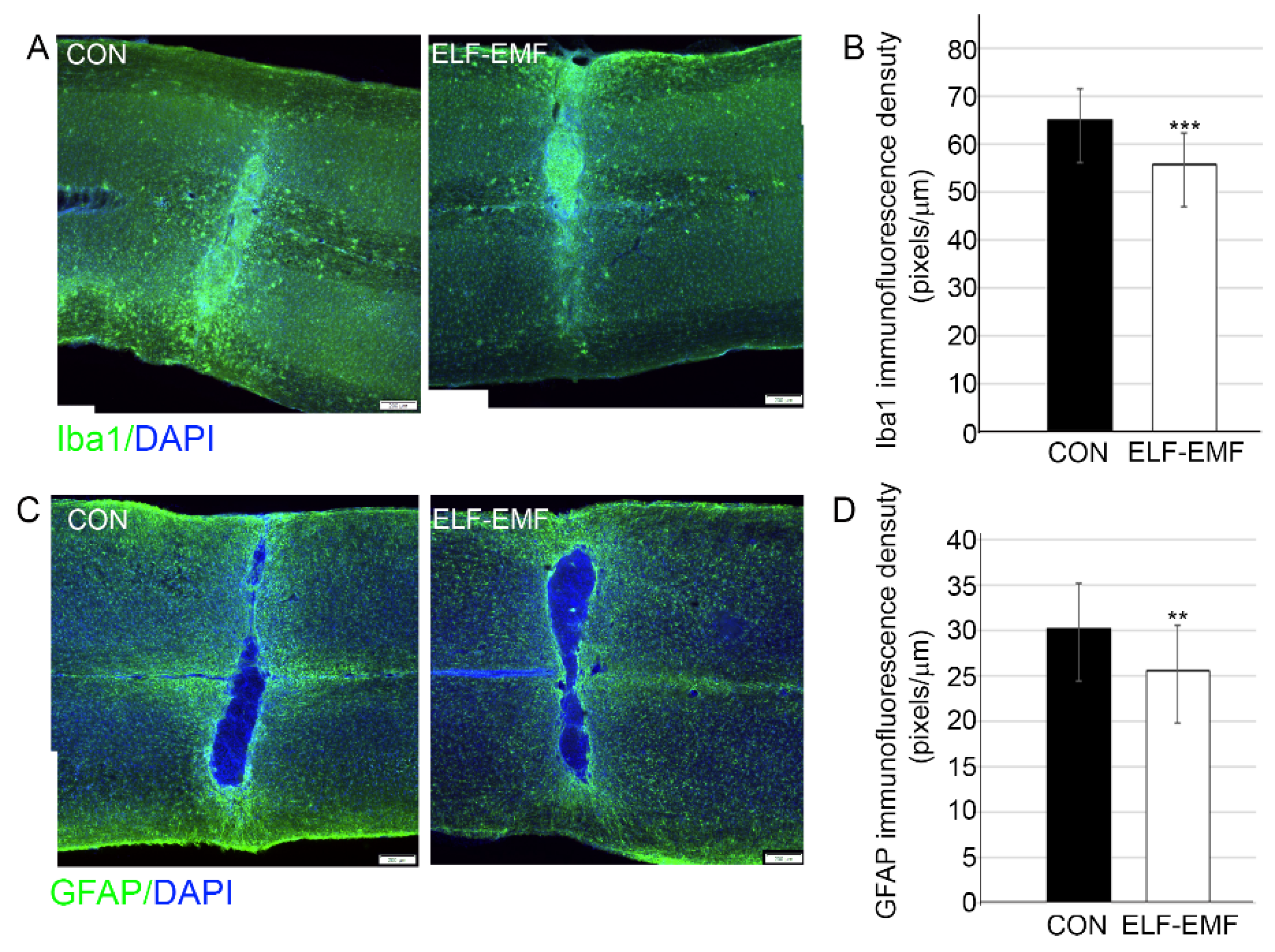 Biomedicines 10 00325 g001 Biomedicines 10 00325 g001