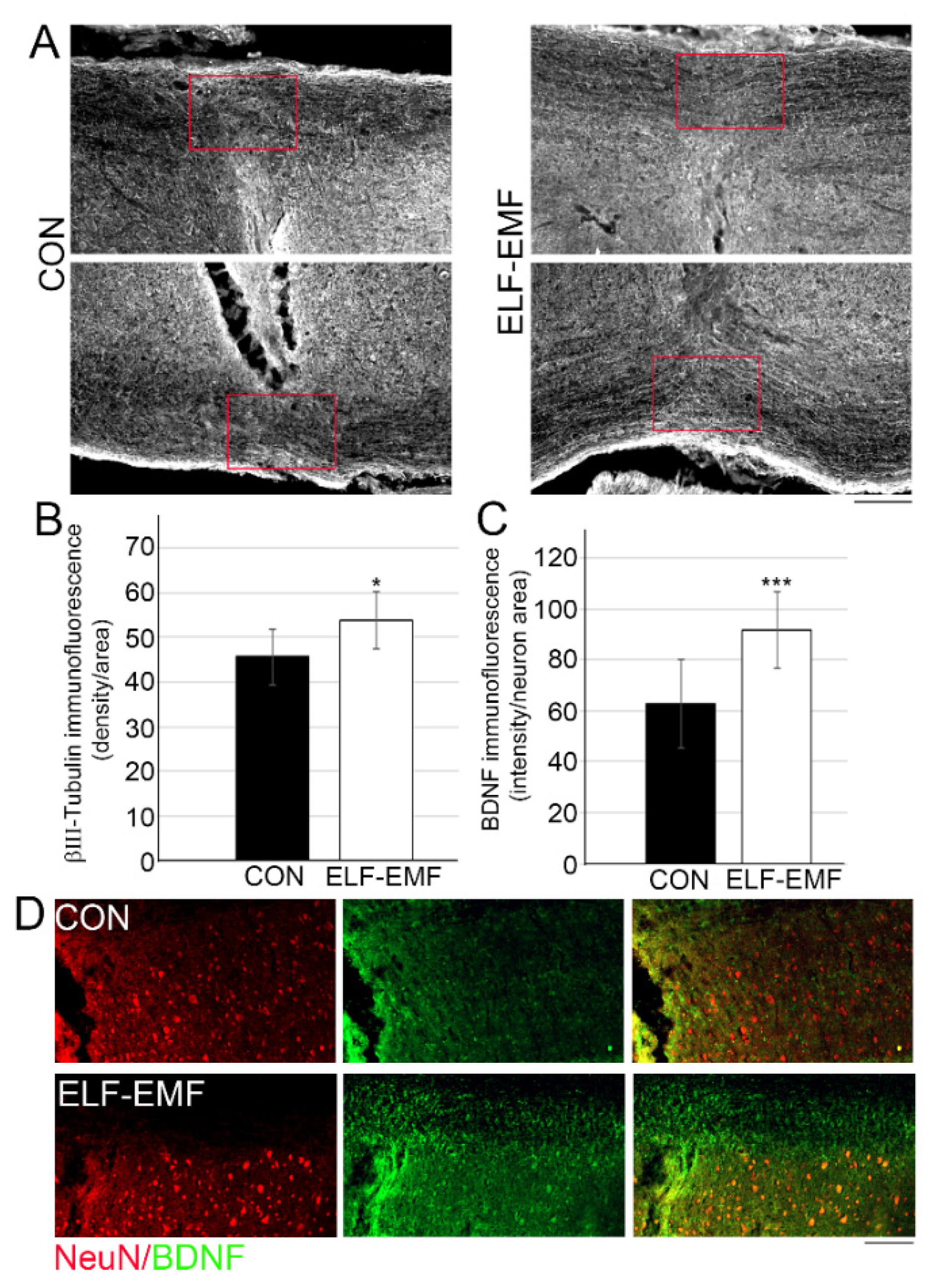 Biomedicines 10 00325 g003 Biomedicines 10 00325 g003