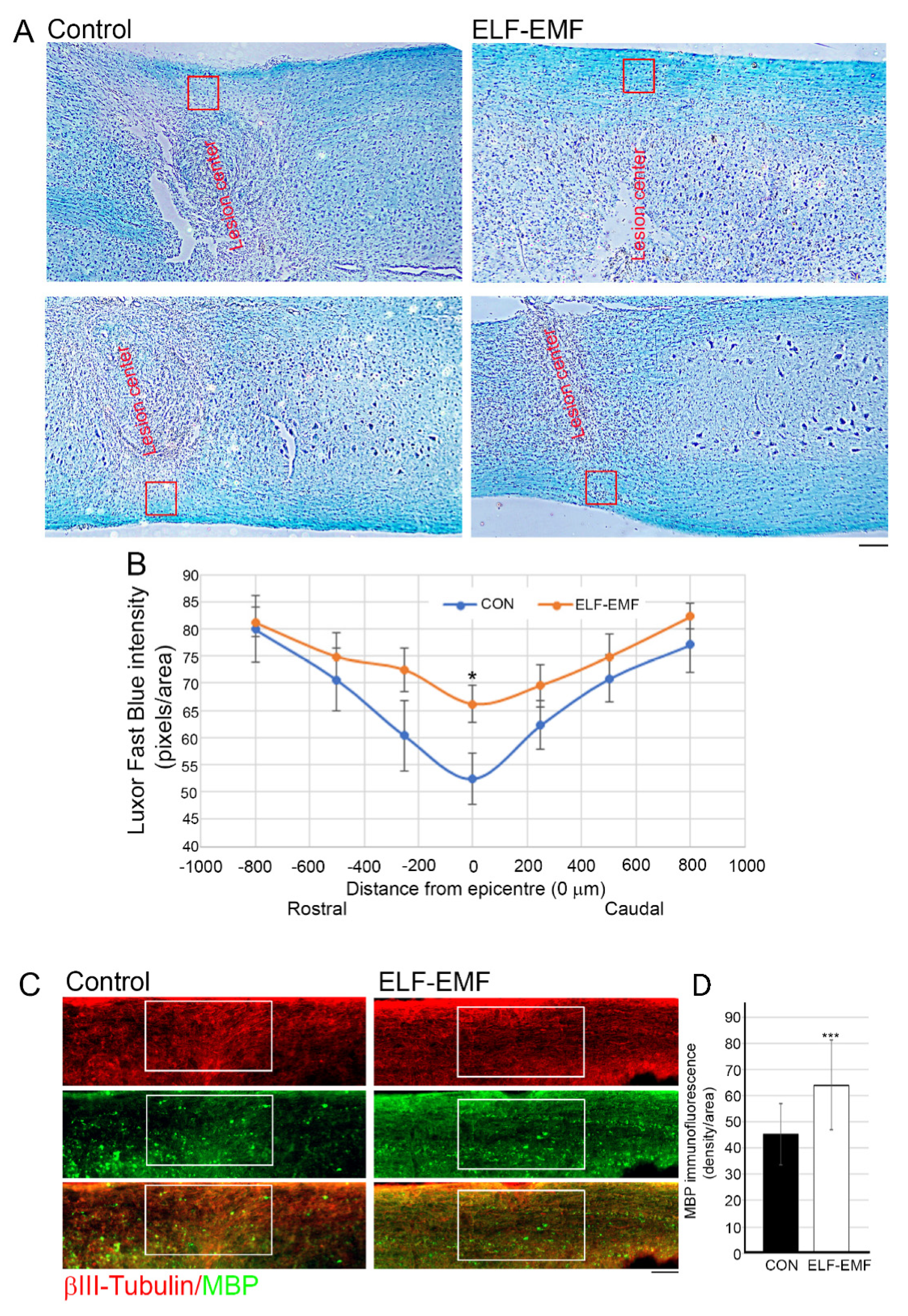 Biomedicines 10 00325 g004 Biomedicines 10 00325 g004