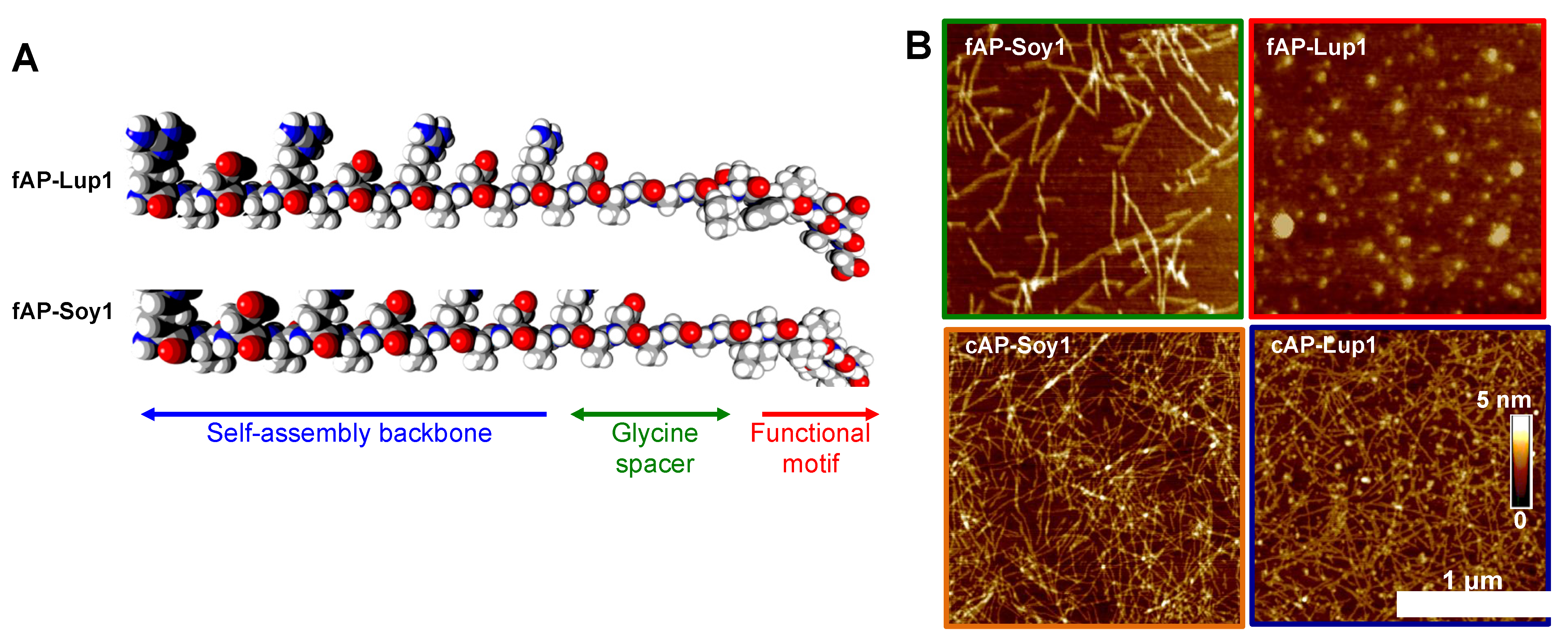 Biomedicines 10 00330 g001