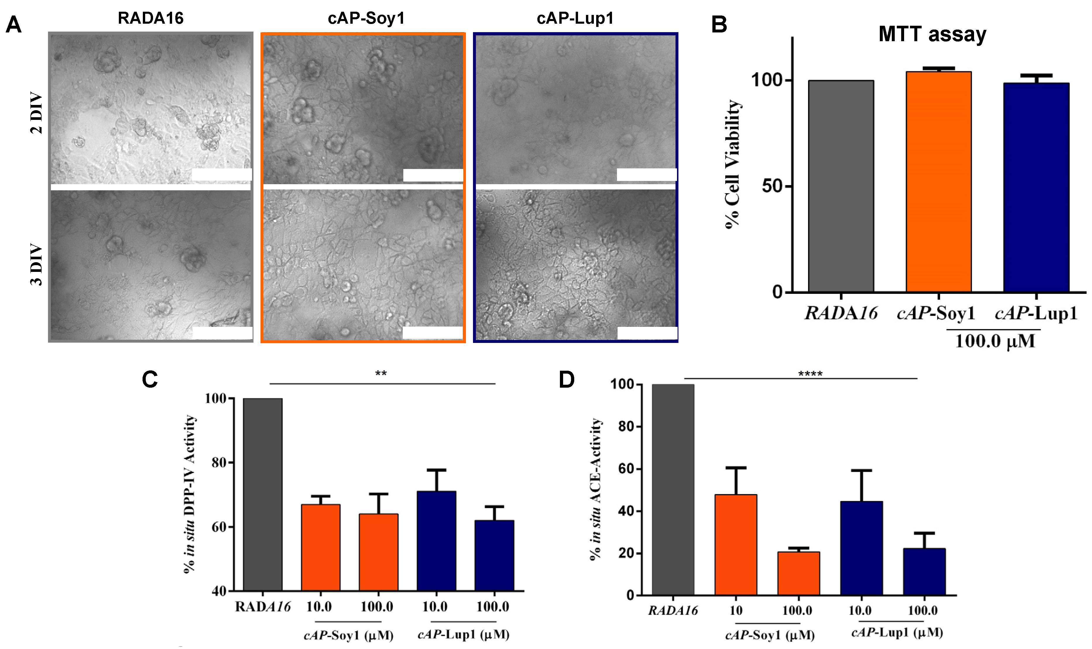 Biomedicines 10 00330 g004