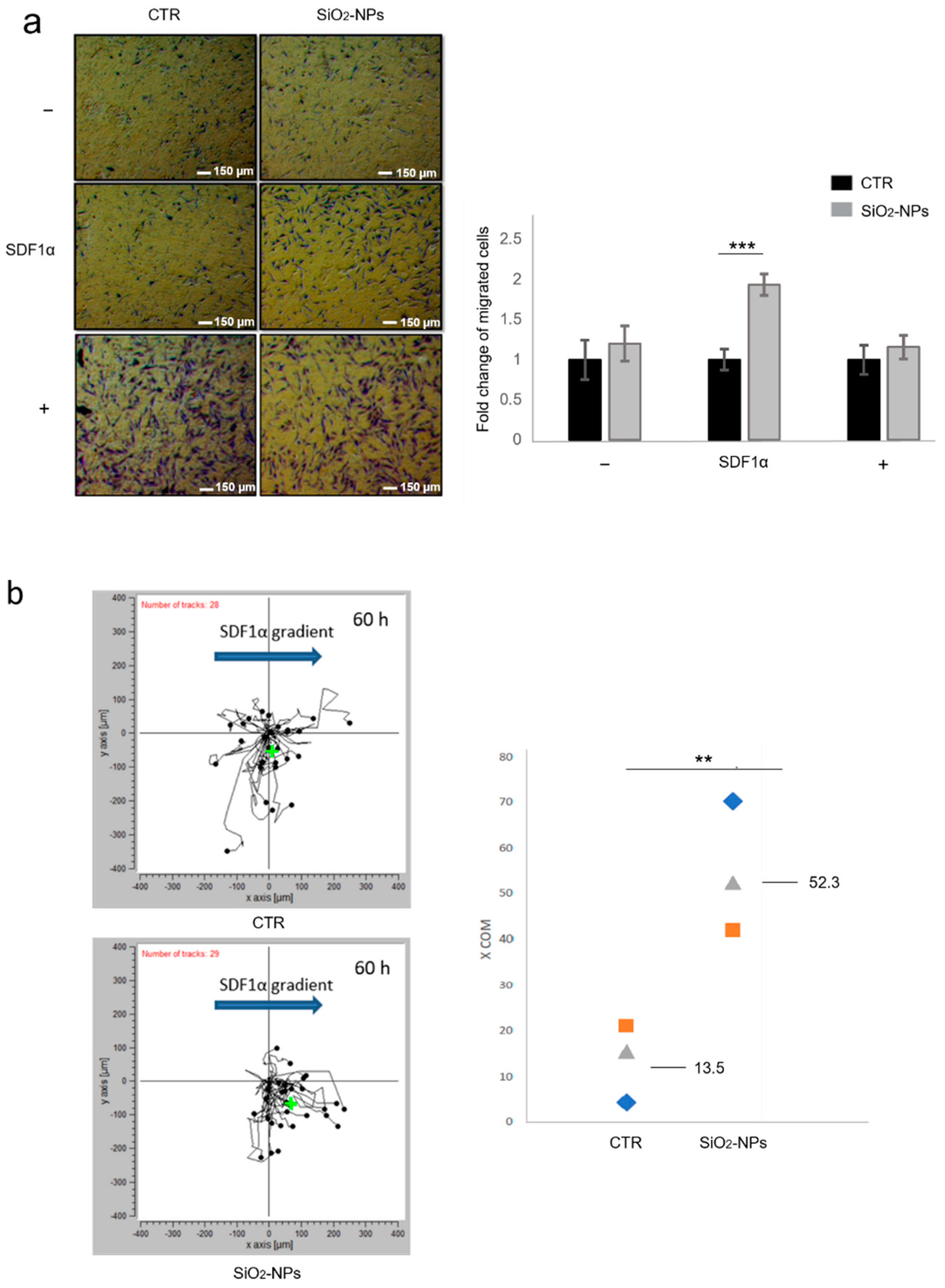 Biomedicines 10 00336 g002 550