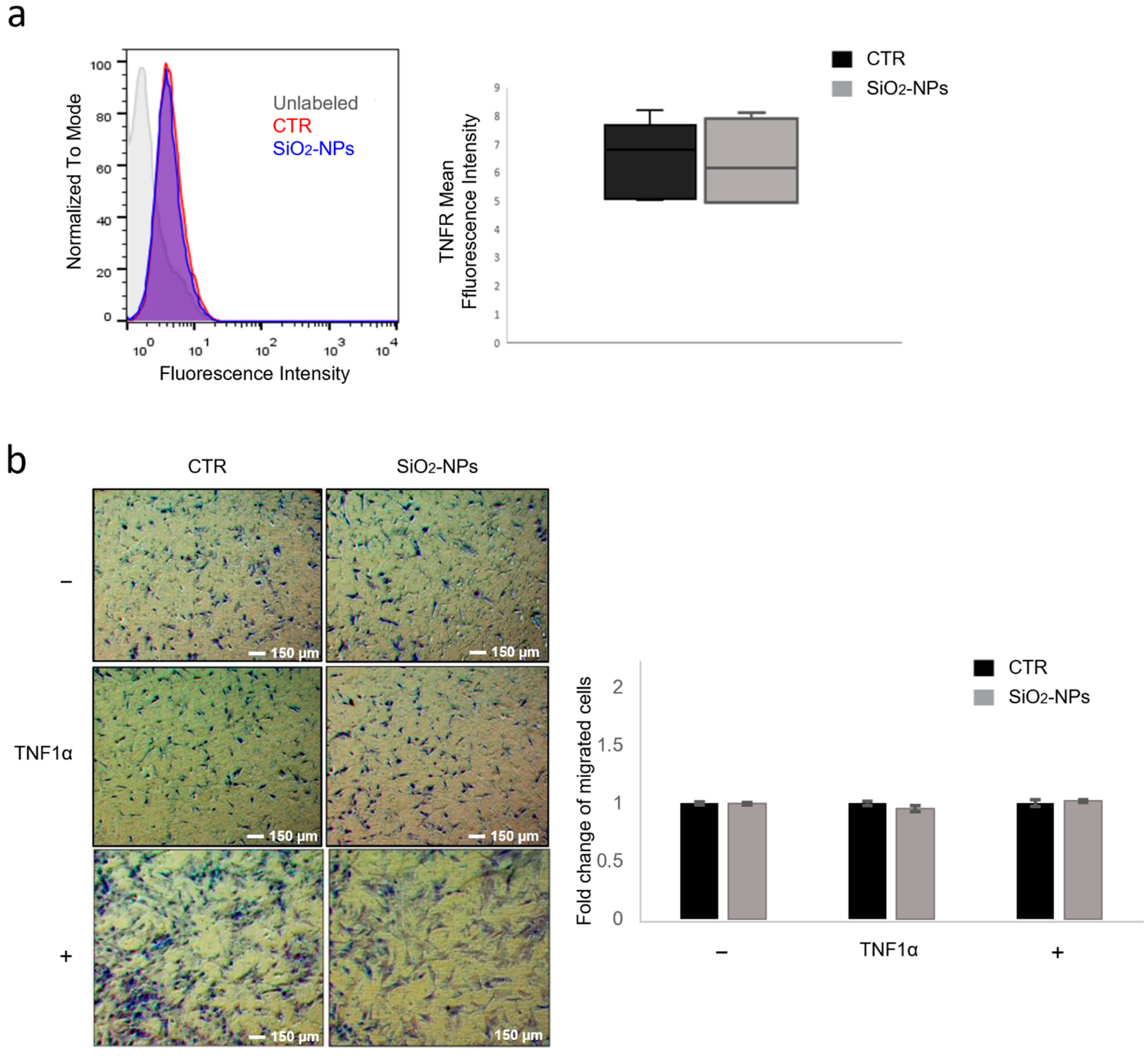 Biomedicines 10 00336 g003 550