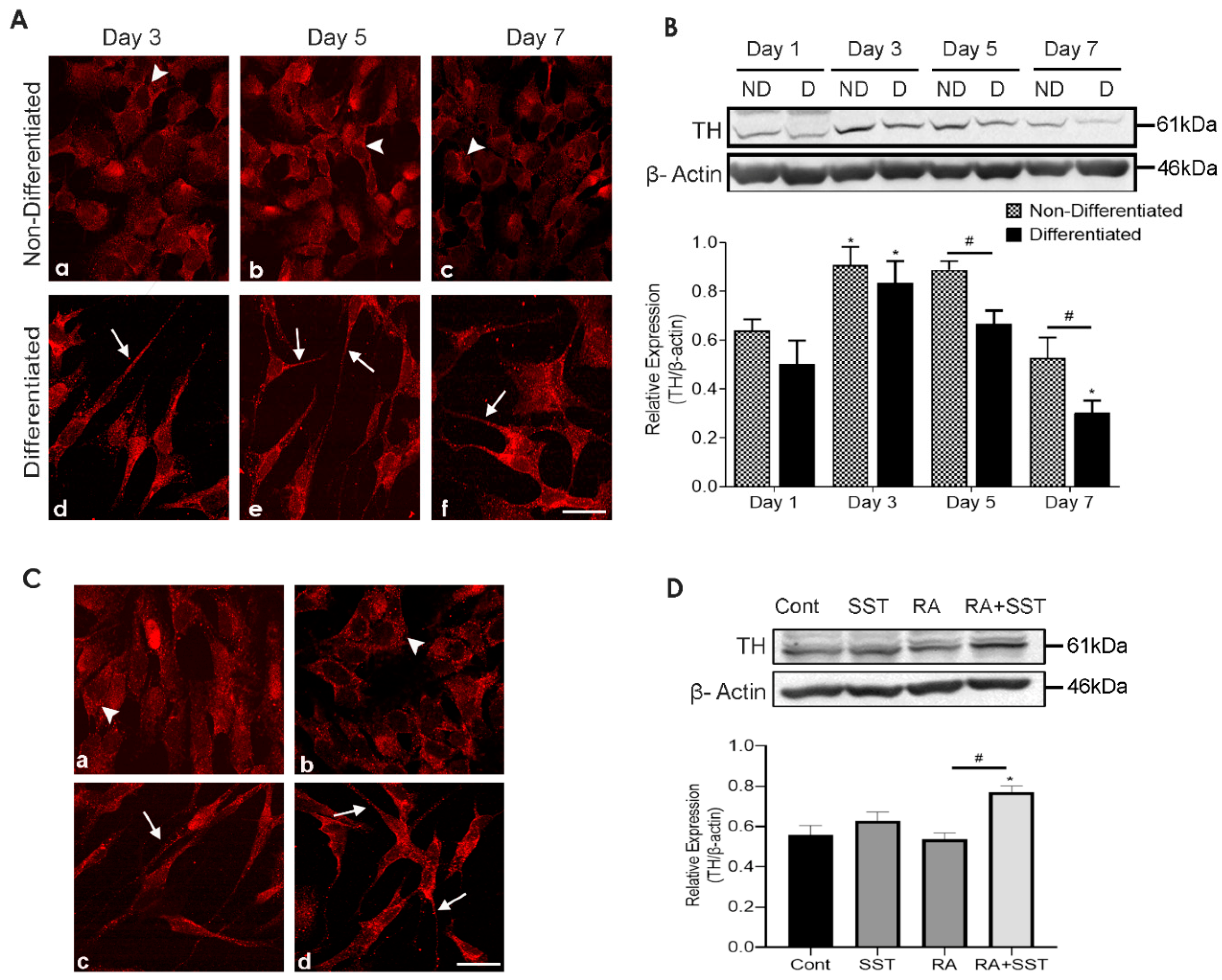 Biomedicines 10 00337 g004