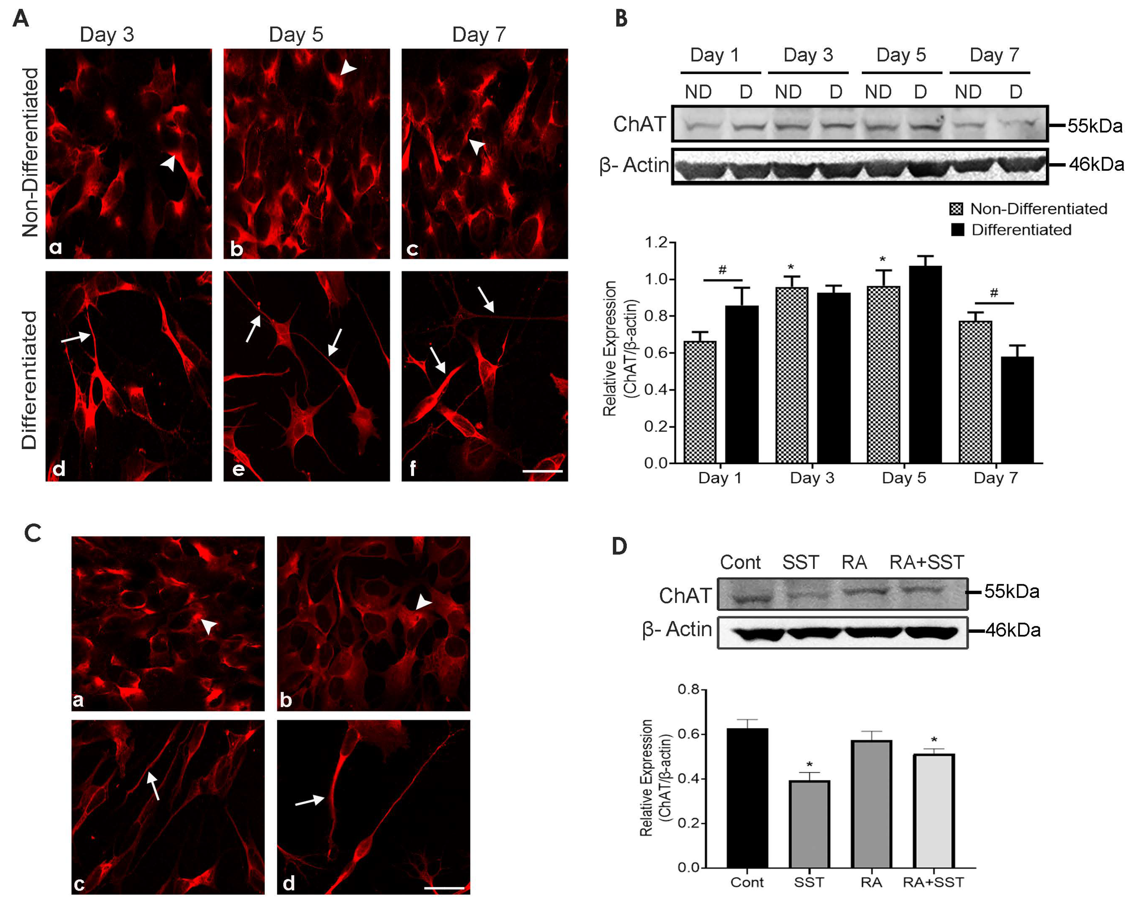 Biomedicines 10 00337 g005