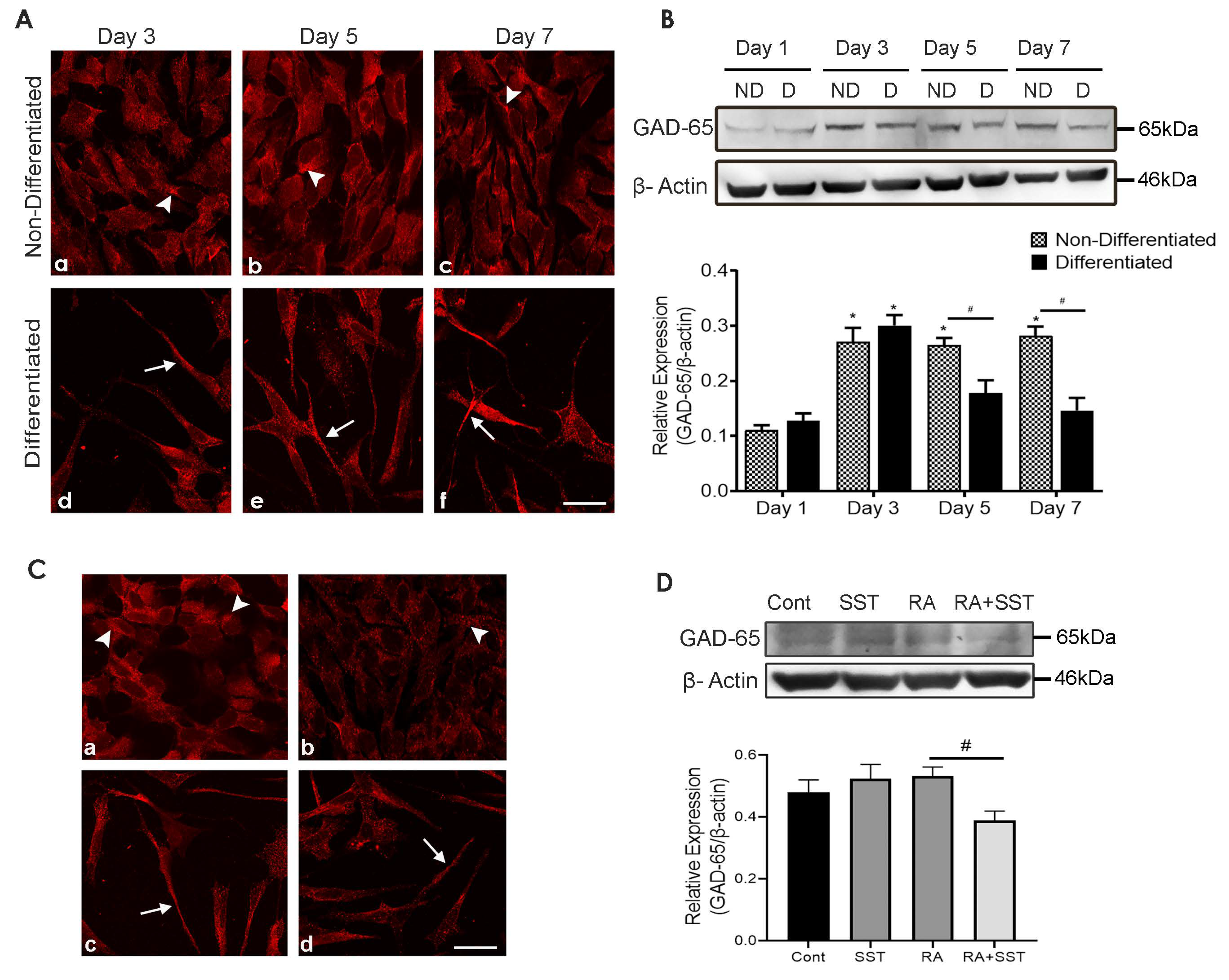 Biomedicines 10 00337 g007