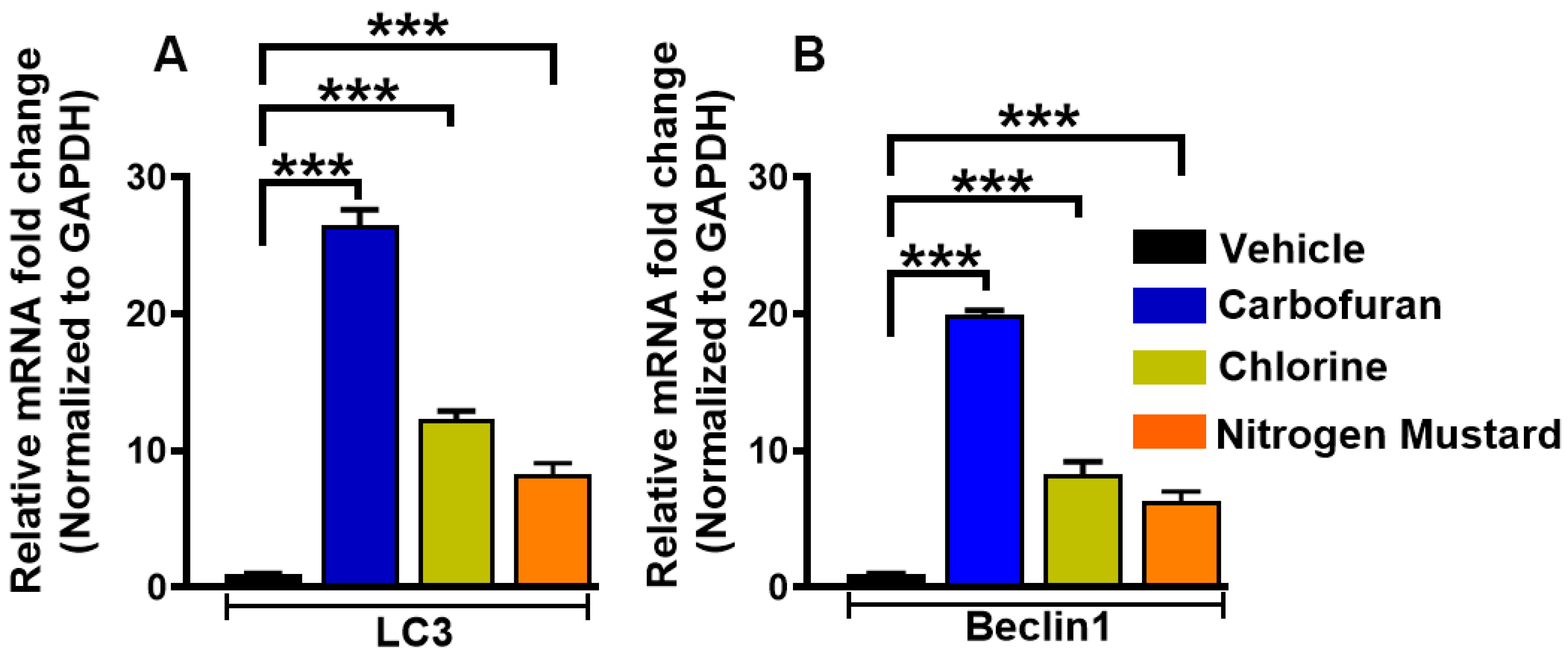 Biomedicines 10 00339 g006