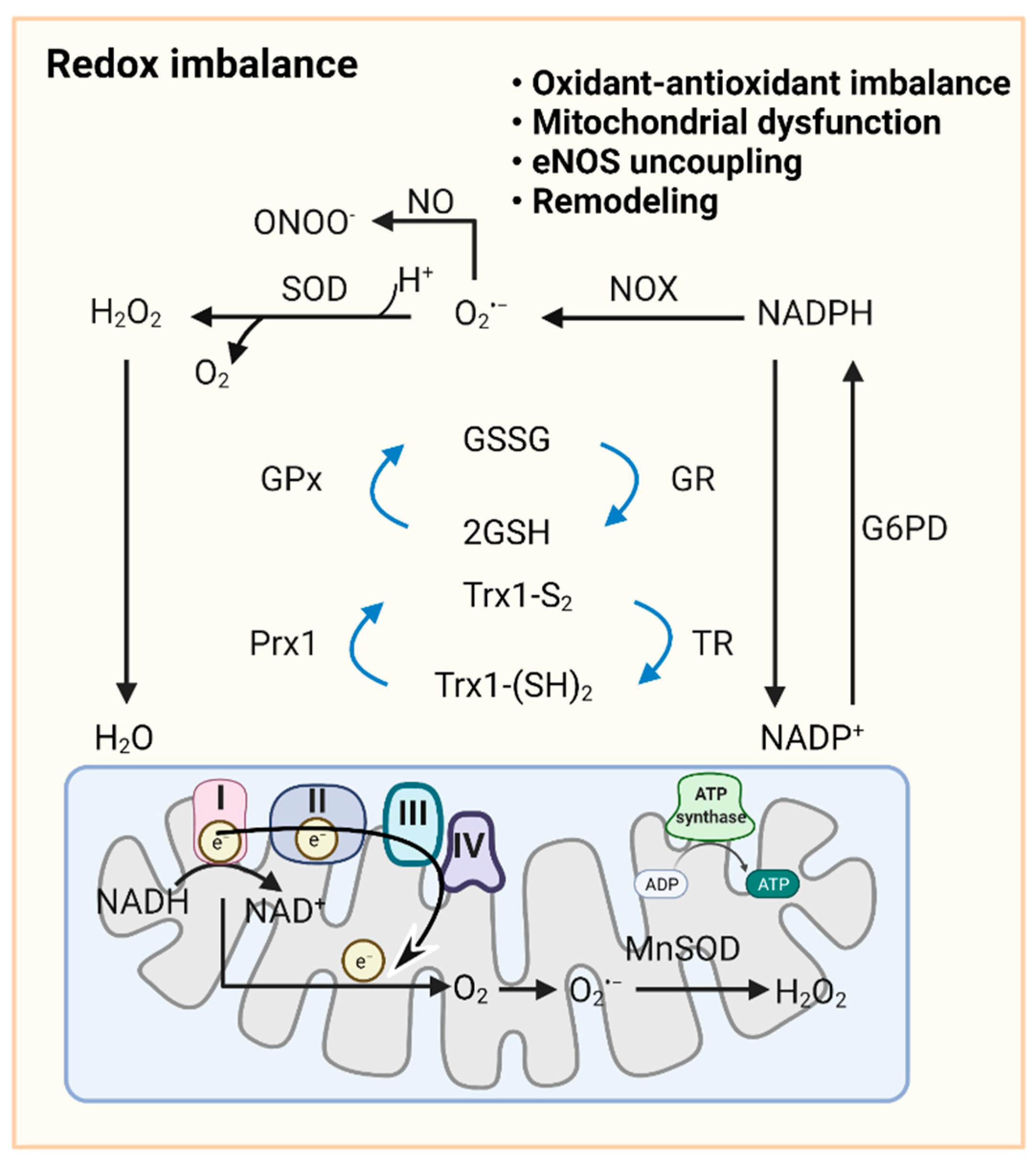 Biomedicines 10 00341 g002 Biomedicines 10 00341 g002