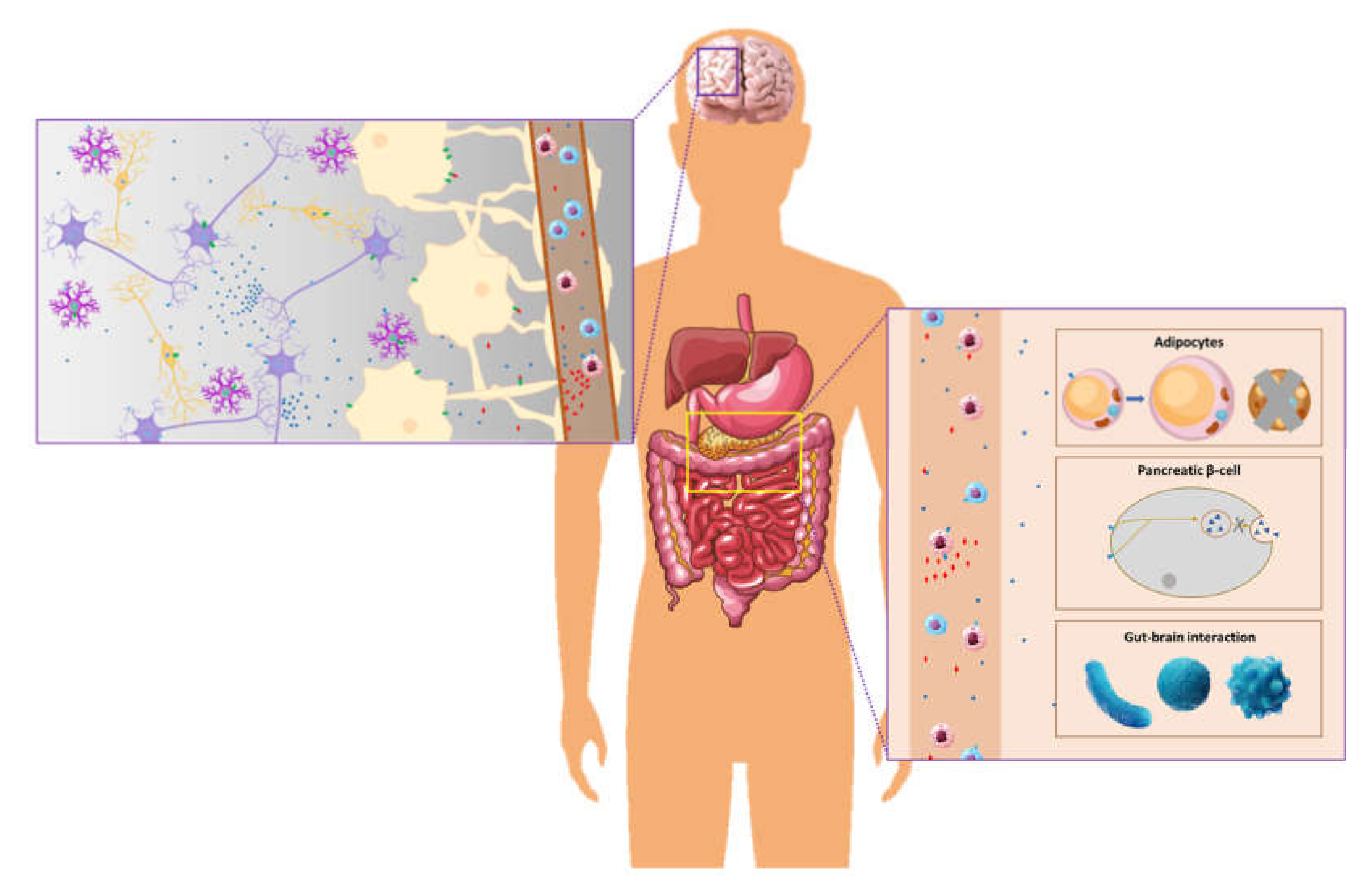 Biomedicines 10 00343 g001 Biomedicines 10 00343 g001