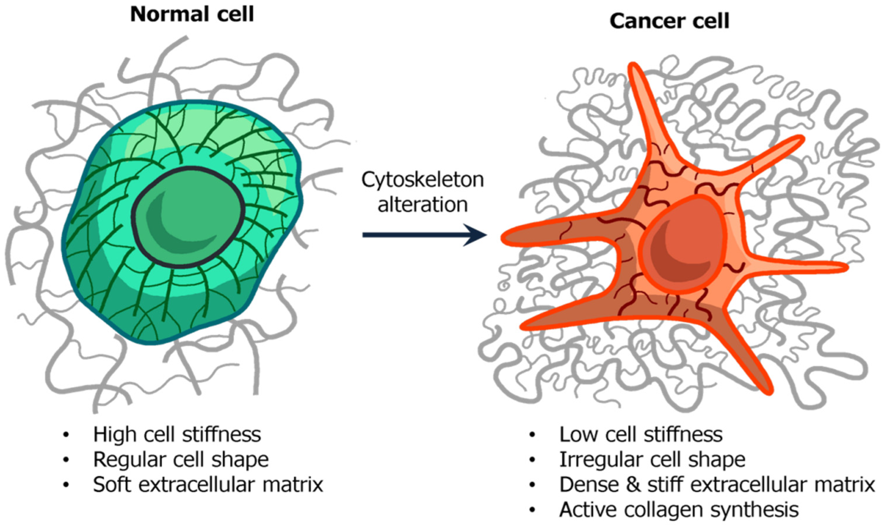 Biomedicines 10 00345 g005 Biomedicines 10 00345 g005