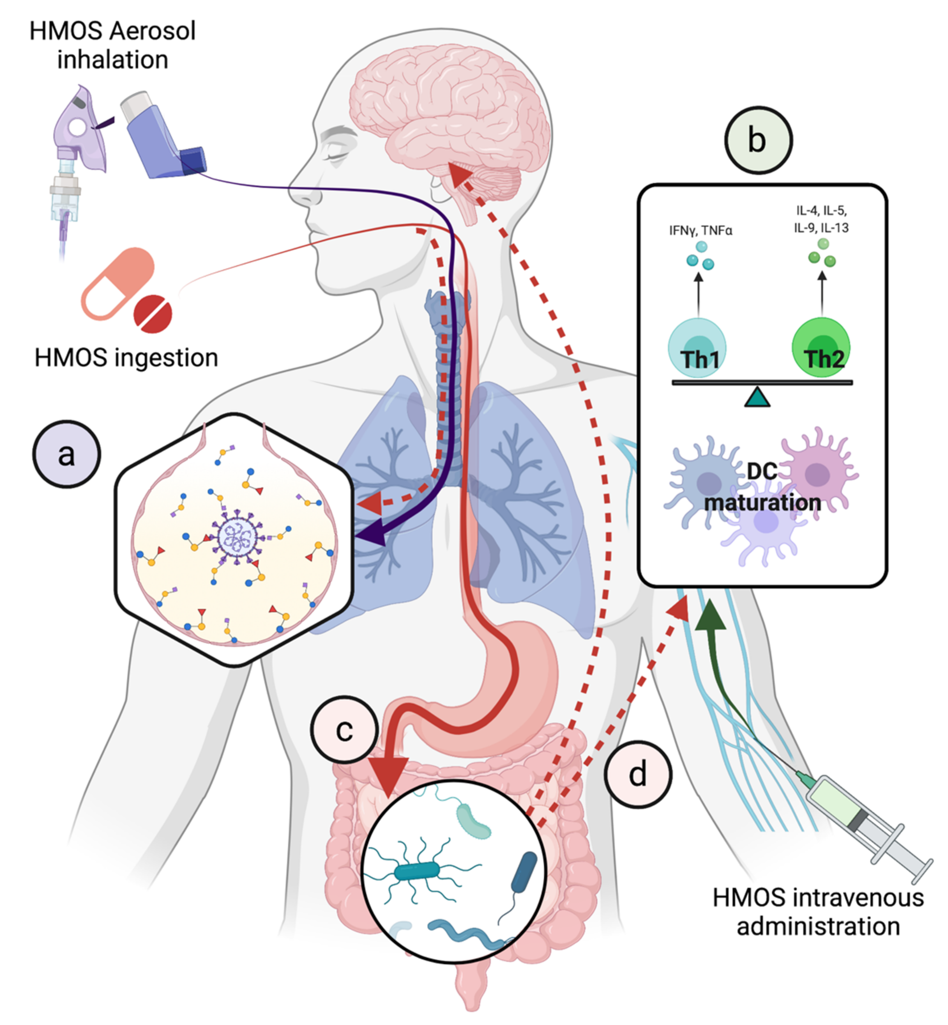 Biomedicines 10 00346 g003