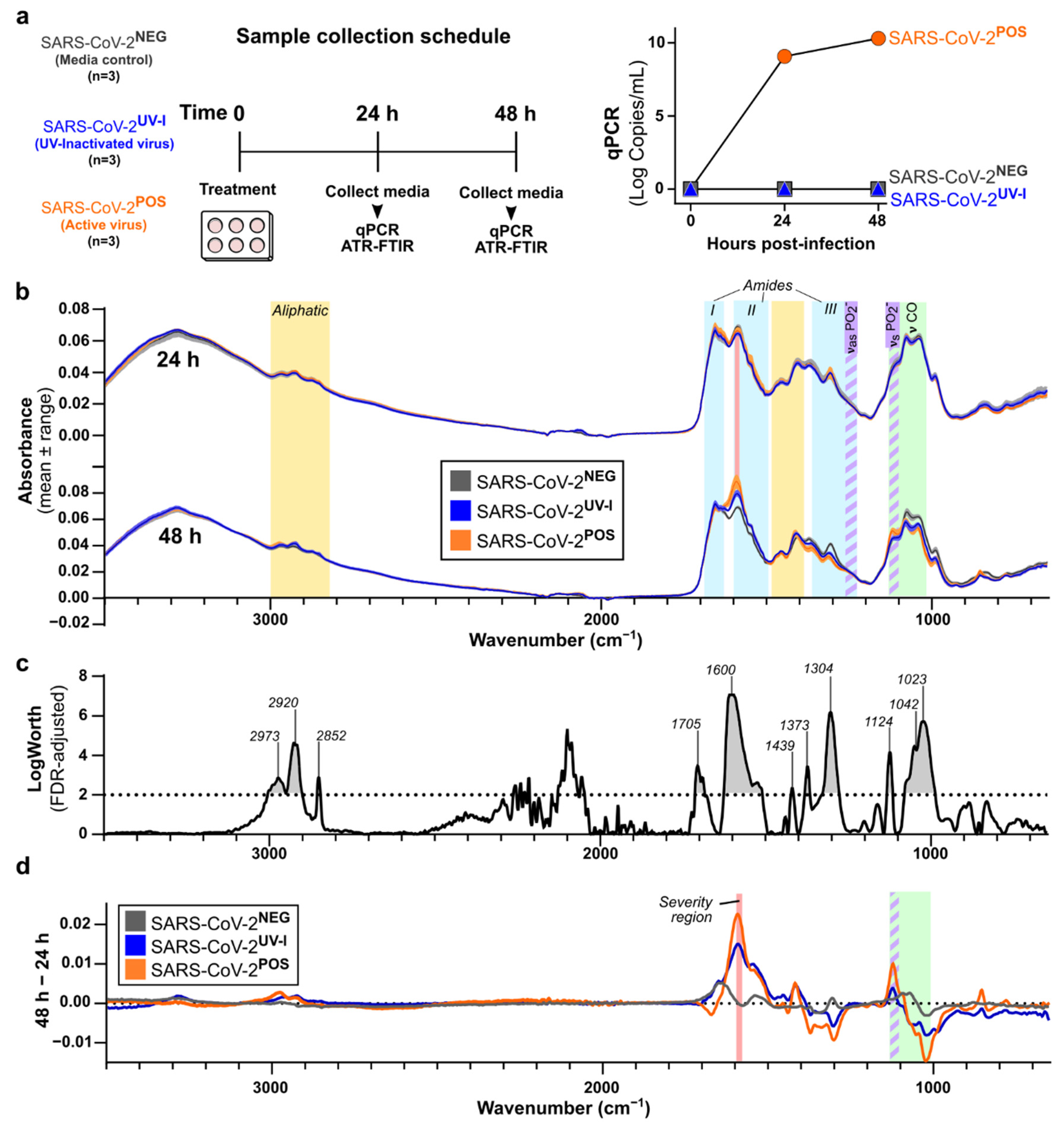 Biomedicines 10 00351 g001