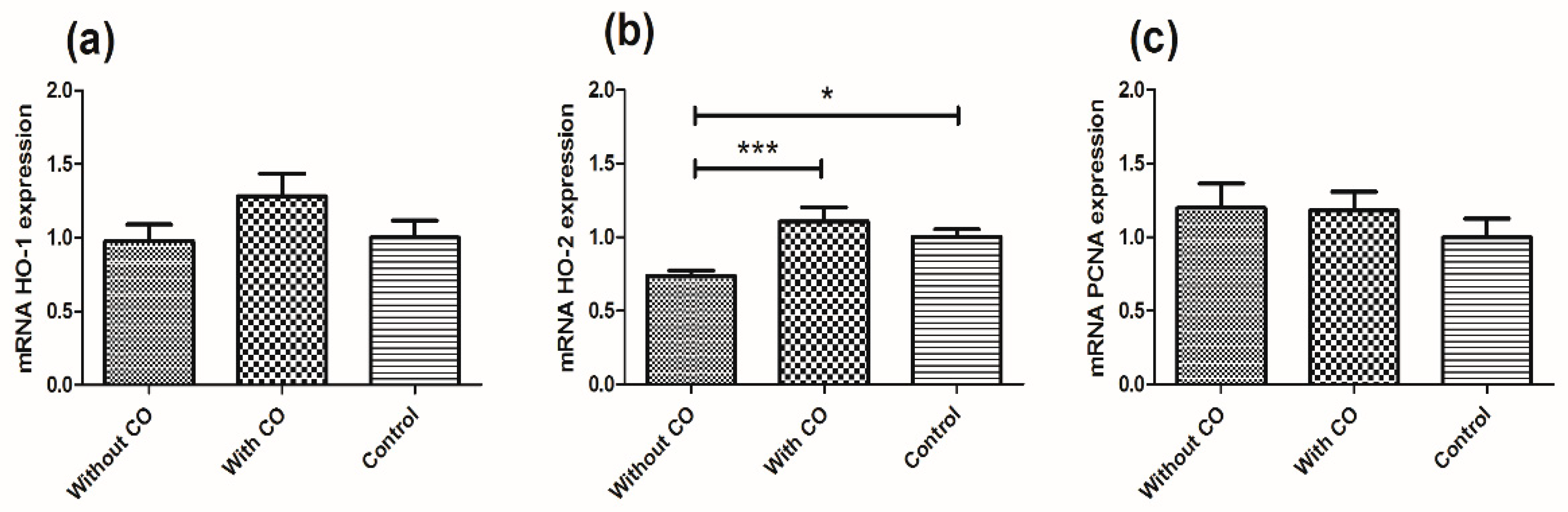 Biomedicines 10 00358 g001 550