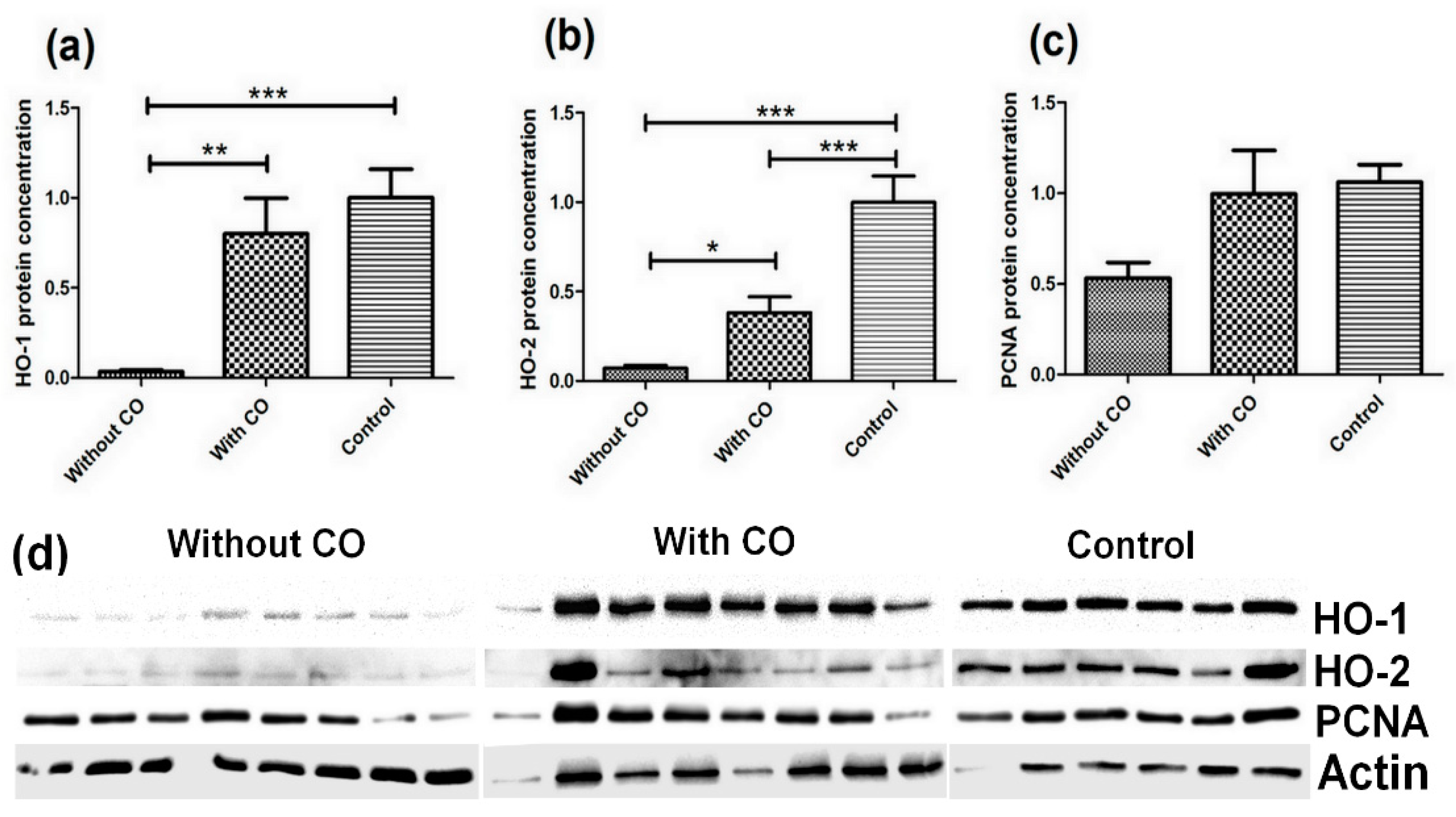 Biomedicines 10 00358 g002 550