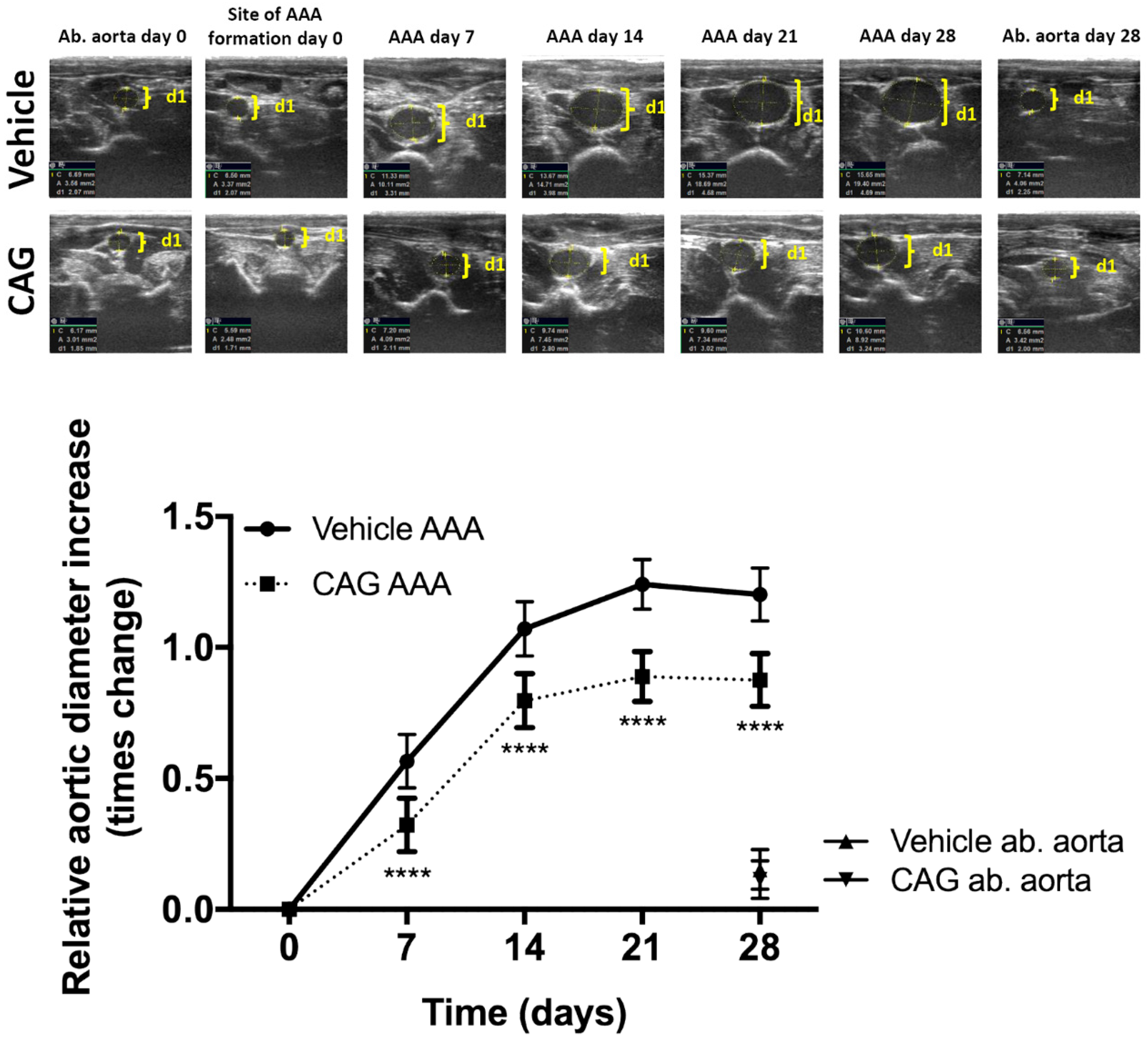 Biomedicines 10 00359 g002 550