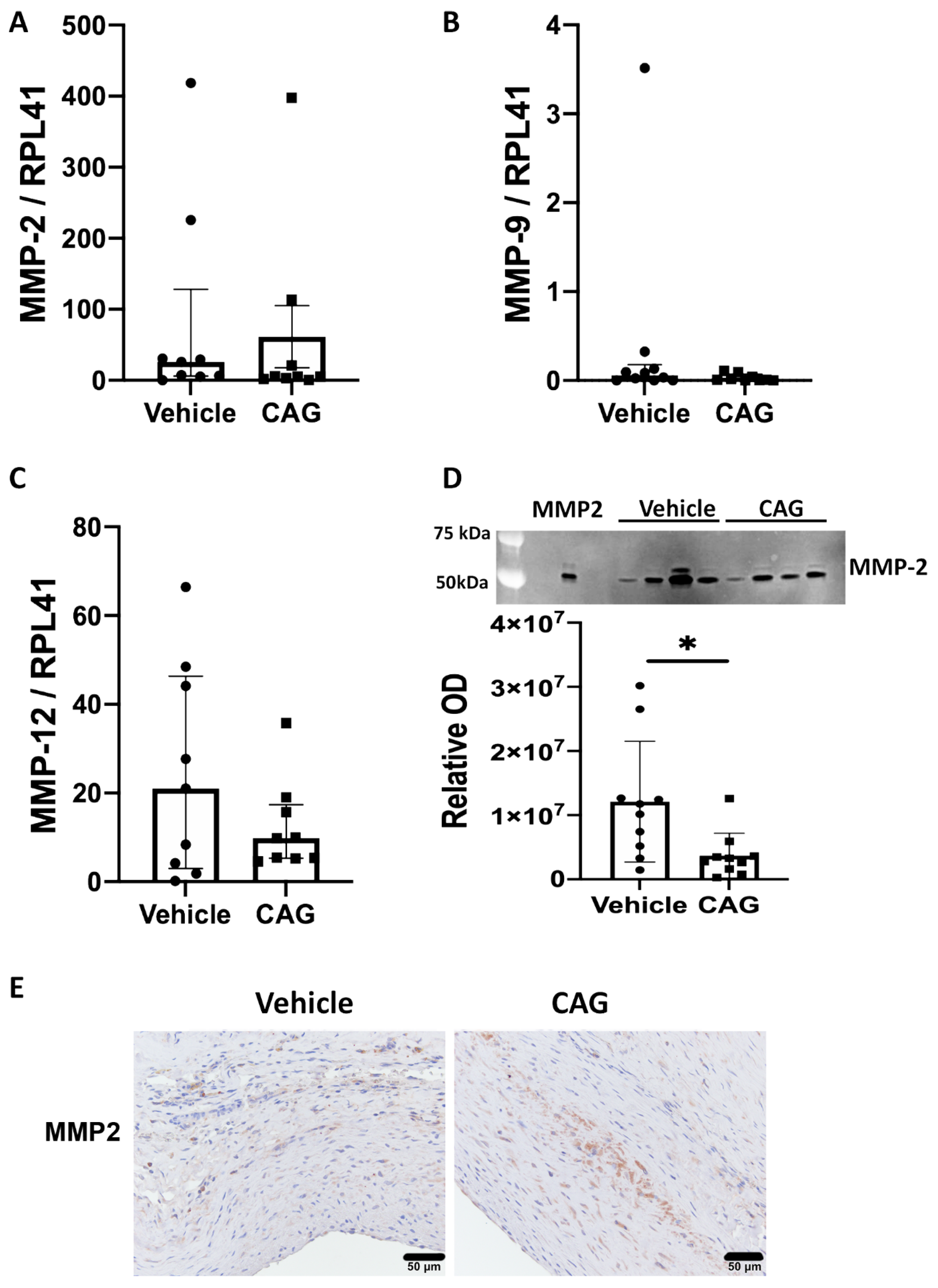Biomedicines 10 00359 g004 550