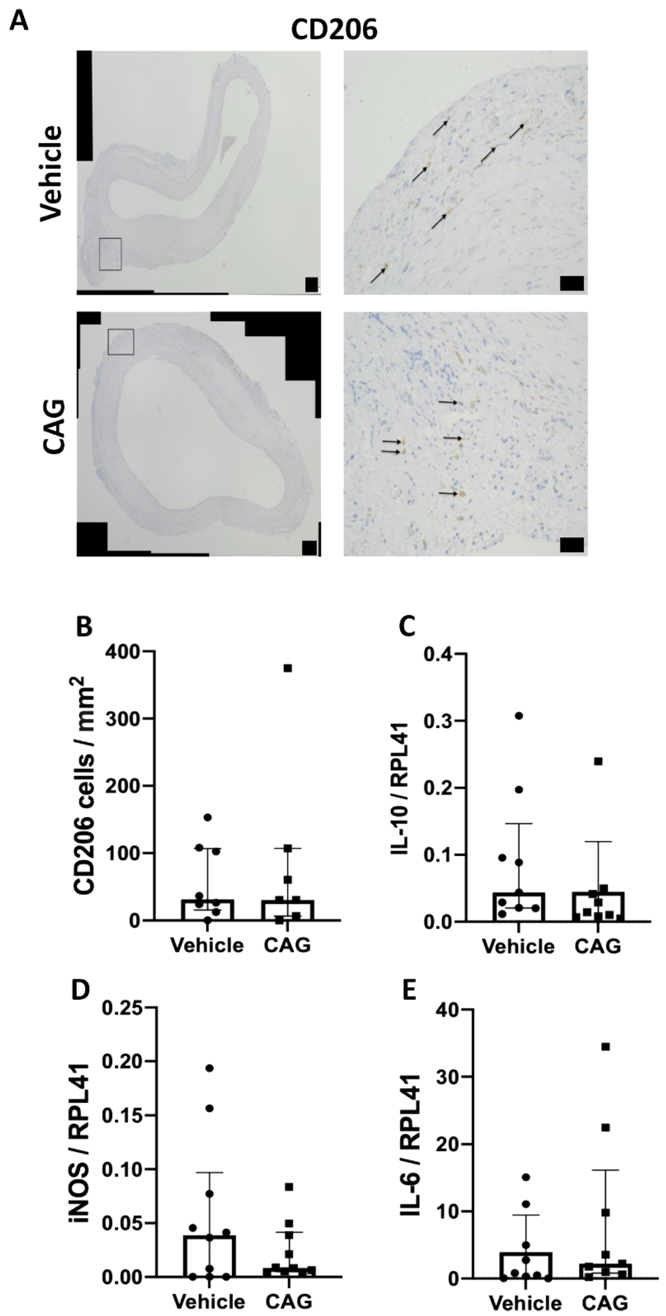 Biomedicines 10 00359 g006 550