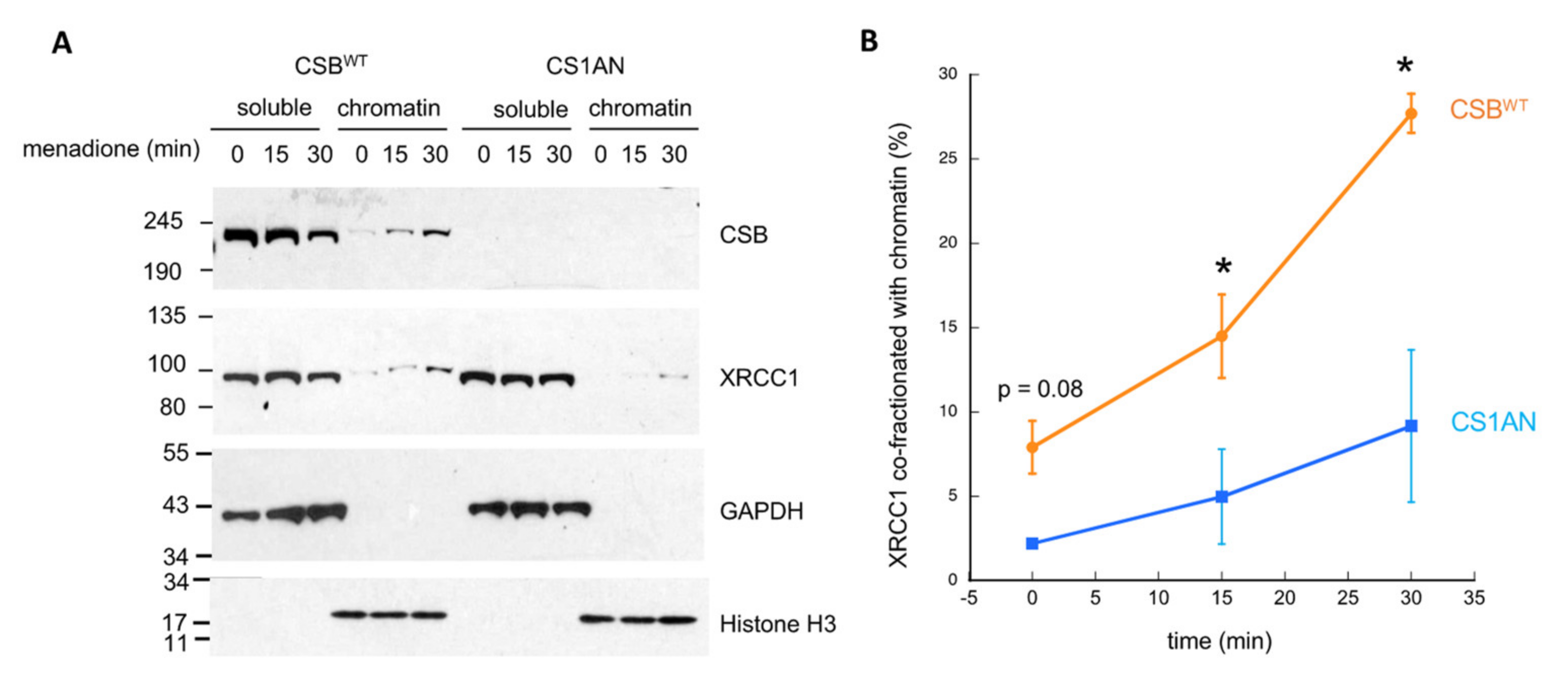 Biomedicines 10 00361 g005 550